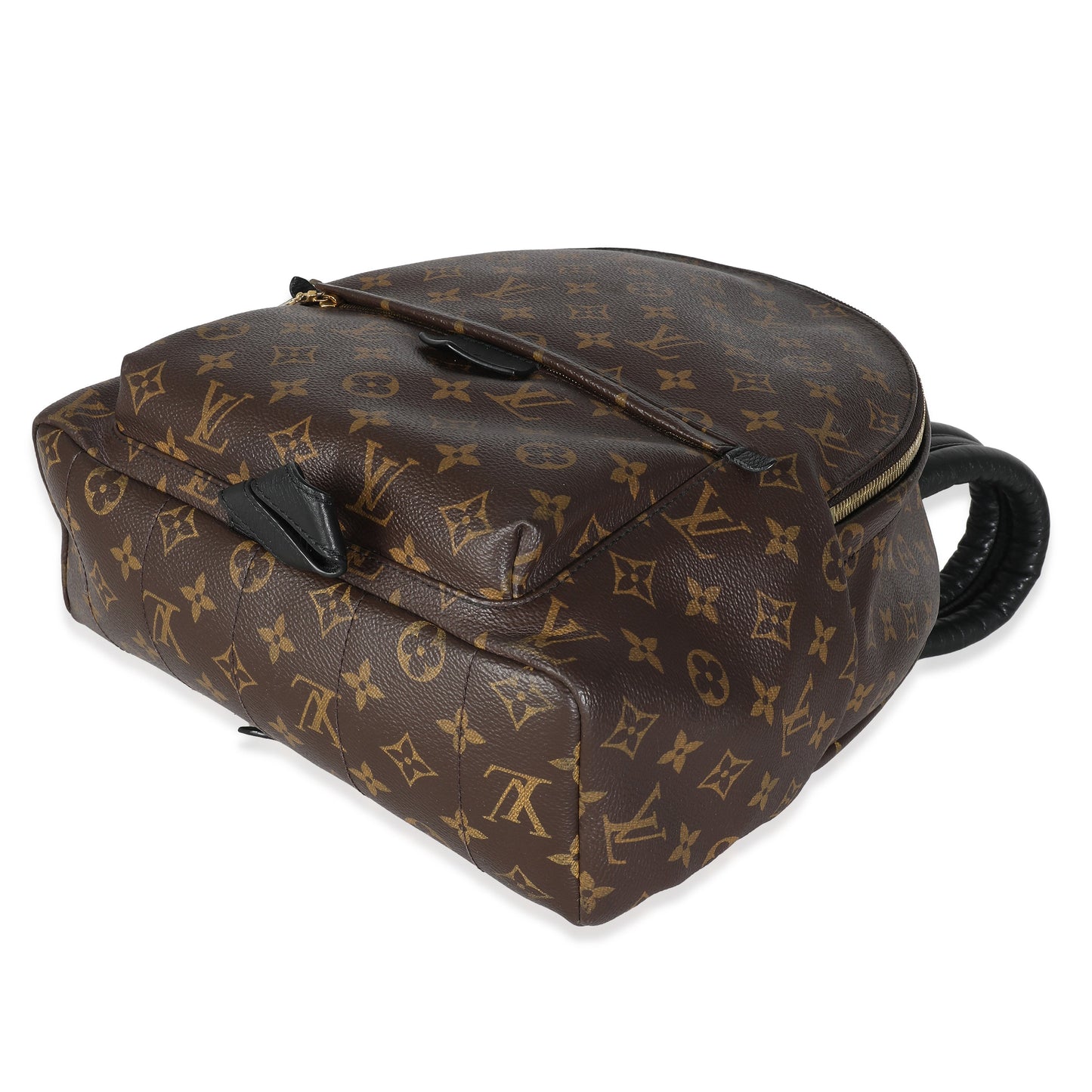 Louis Vuitton  Monogram Canvas Palm Springs MM
