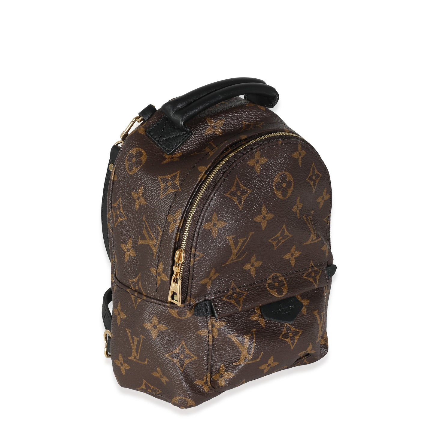 Louis Vuitton  Monogram Canvas Mini Palm Springs