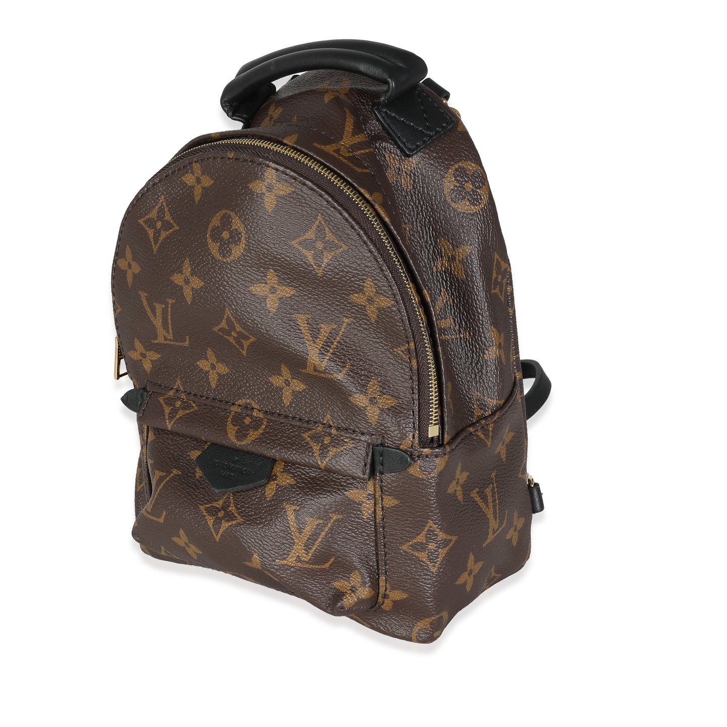 Louis Vuitton  Monogram Canvas Mini Palm Springs