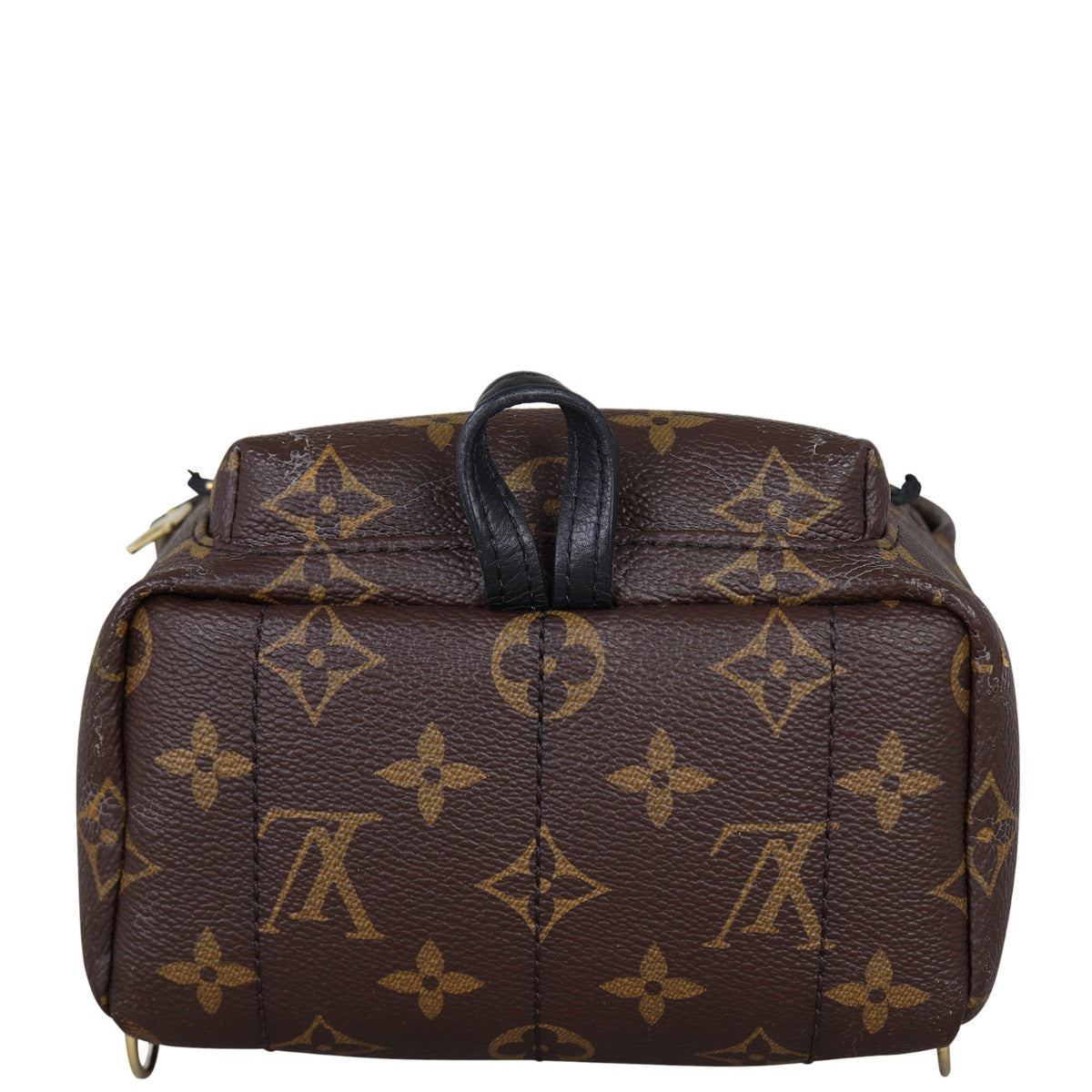 Louis Vuitton Palm Springs Mini Backpack Monogram