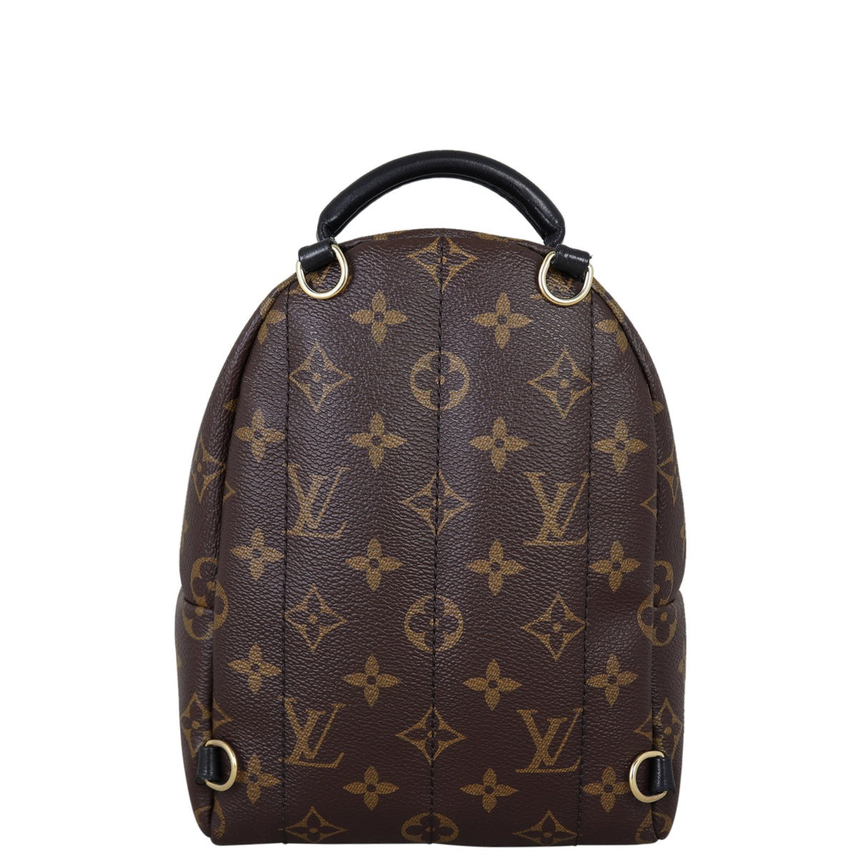 Louis Vuitton Palm Springs Mini Backpack Monogram