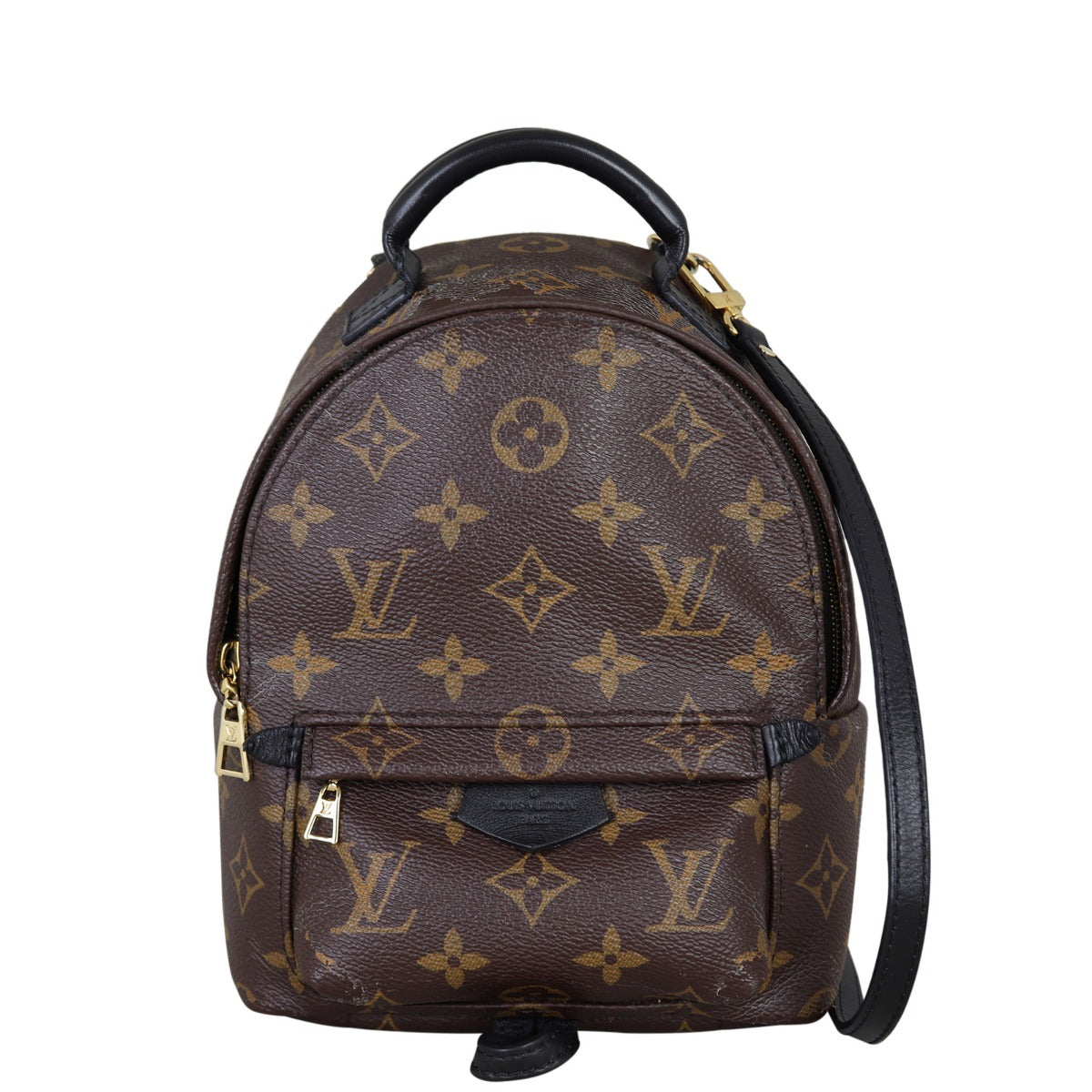 Louis Vuitton Palm Springs Mini Backpack Monogram