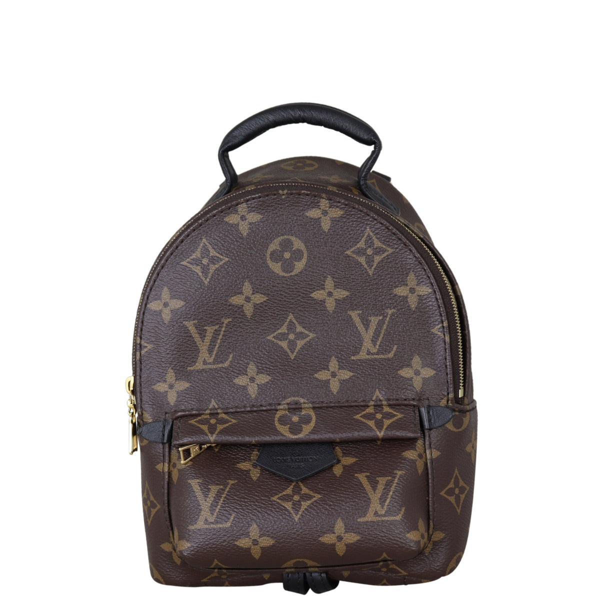 Louis Vuitton Palm Springs Mini Backpack Monogram