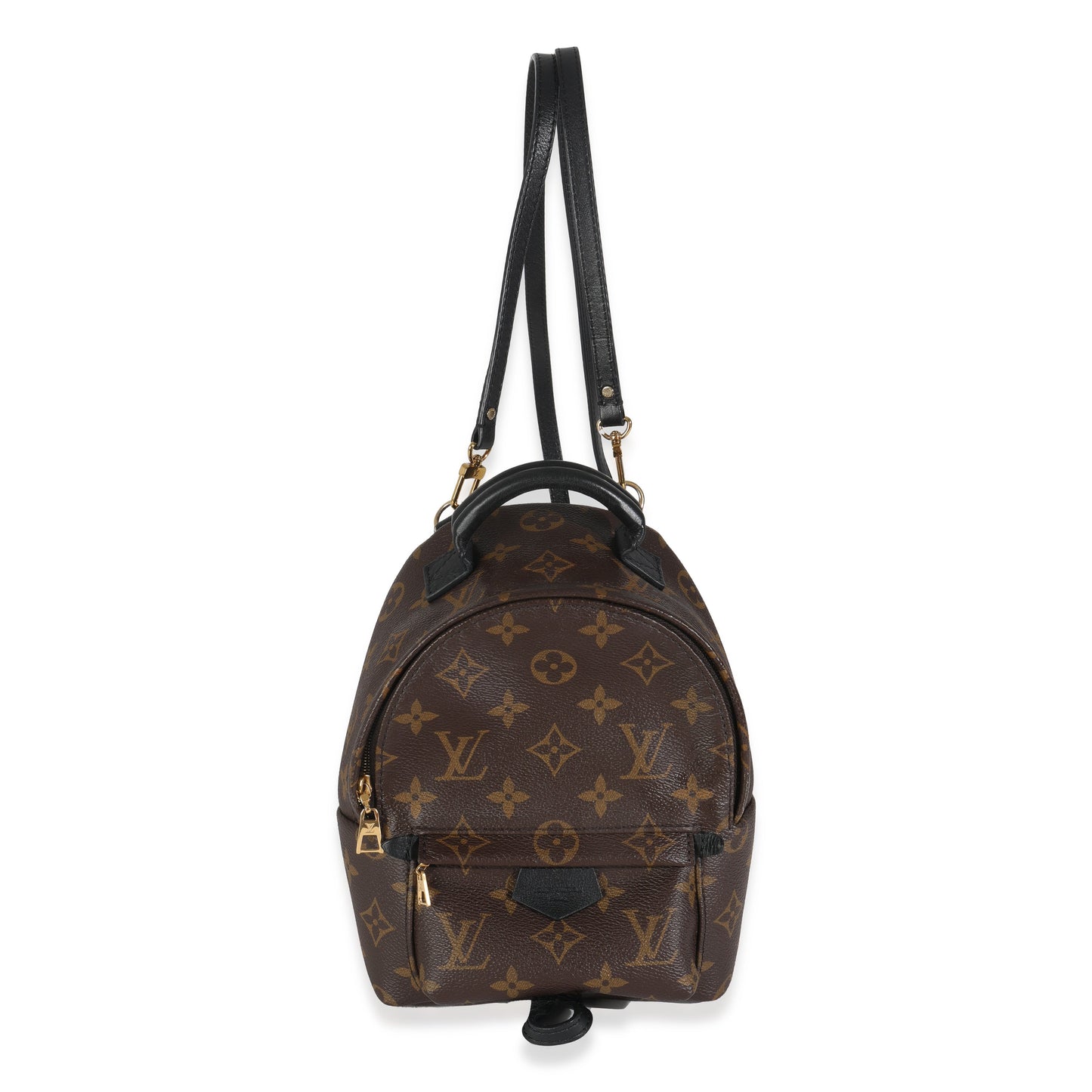 Louis Vuitton Monogram Canvas Mini Palm Springs