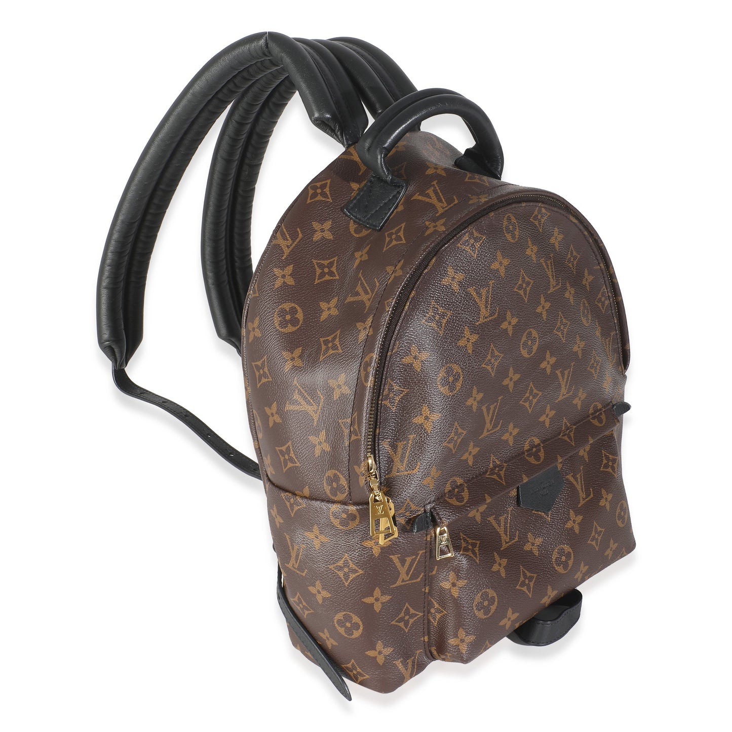 Louis Vuitton Monogram Canvas Palm Springs MM