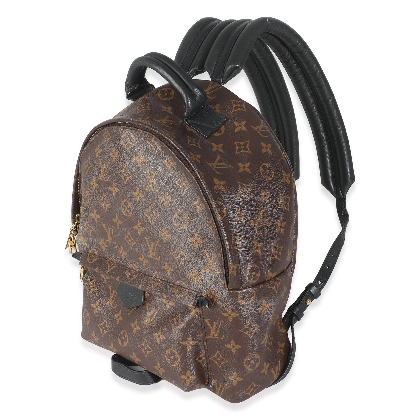 Louis Vuitton Monogram Canvas Palm Springs MM