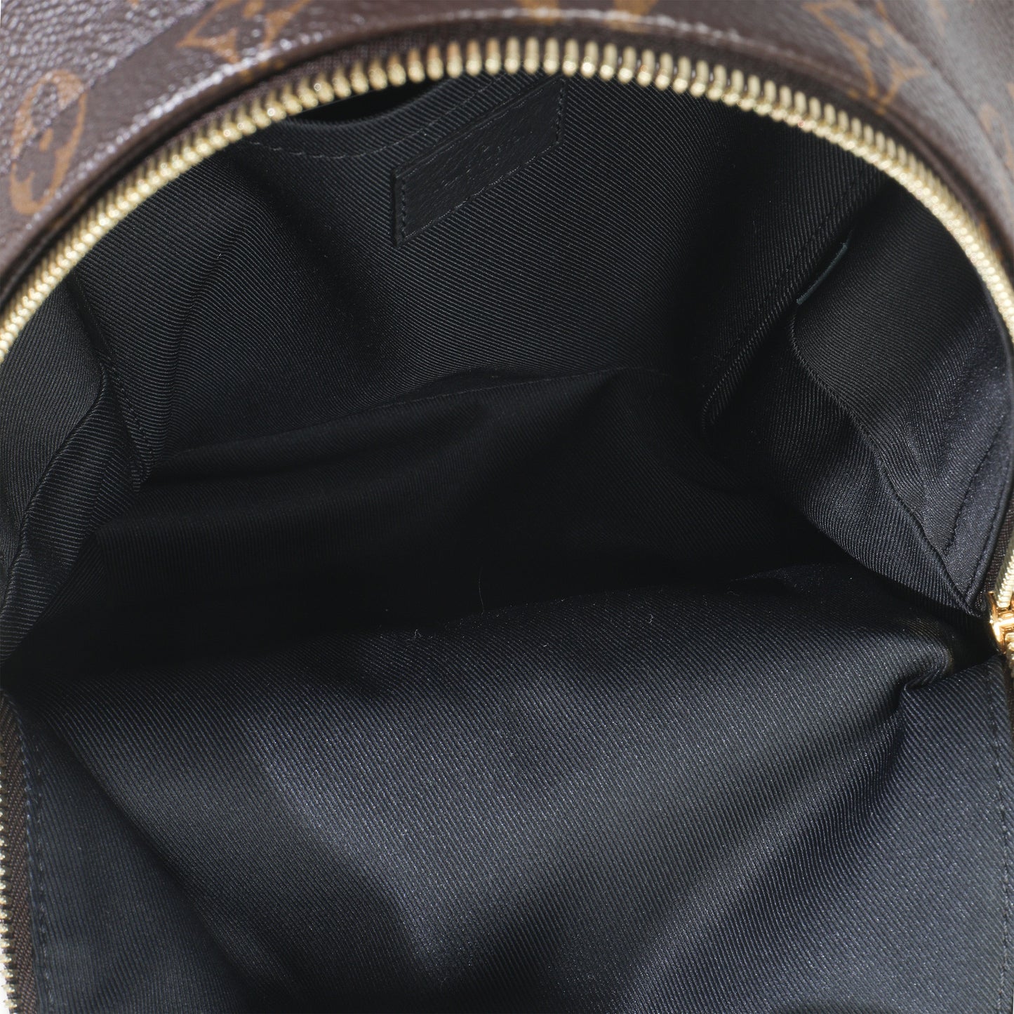 Louis Vuitton Reverse Monogram Canvas Palm Springs PM