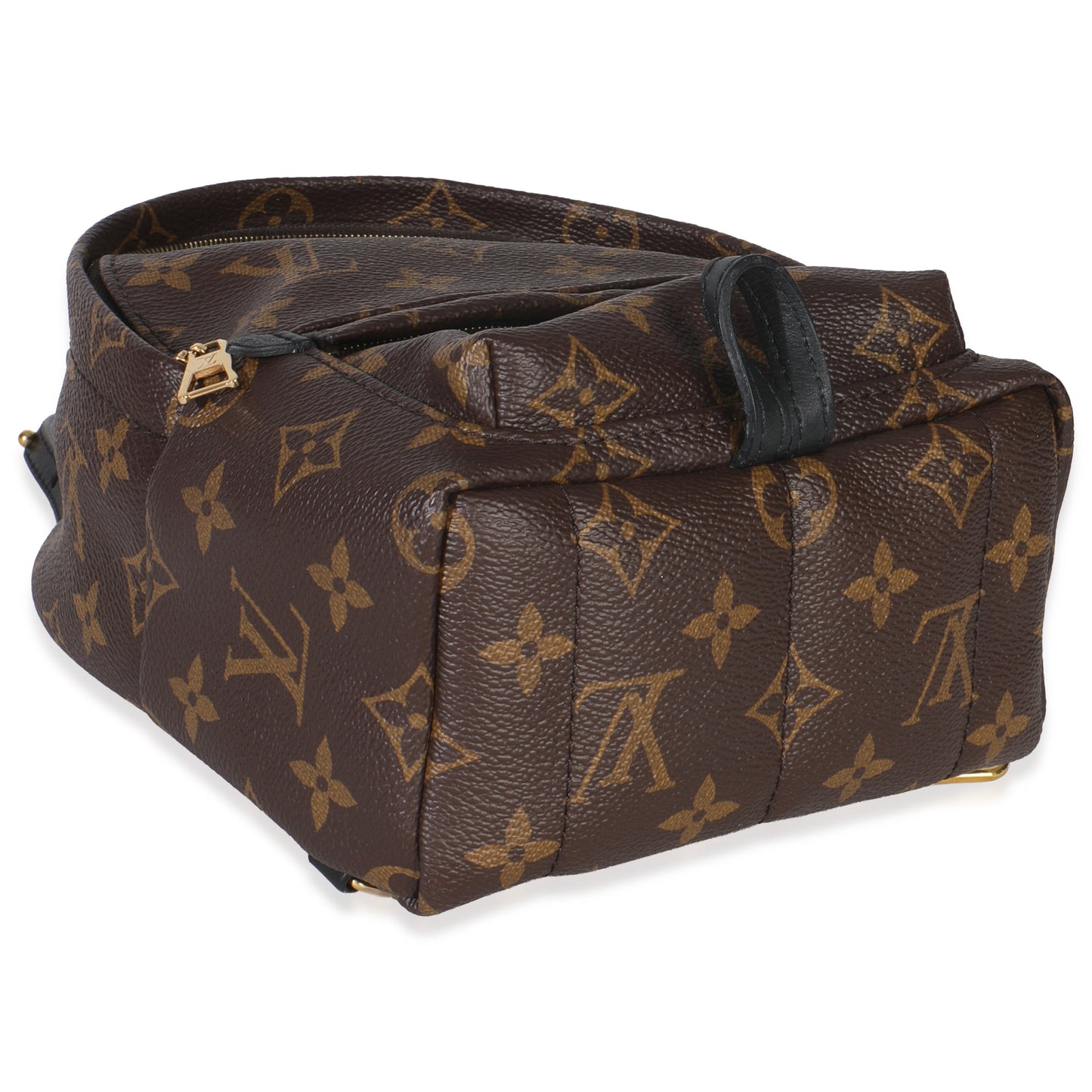 Louis Vuitton Monogram Canvas Mini Palm Springs