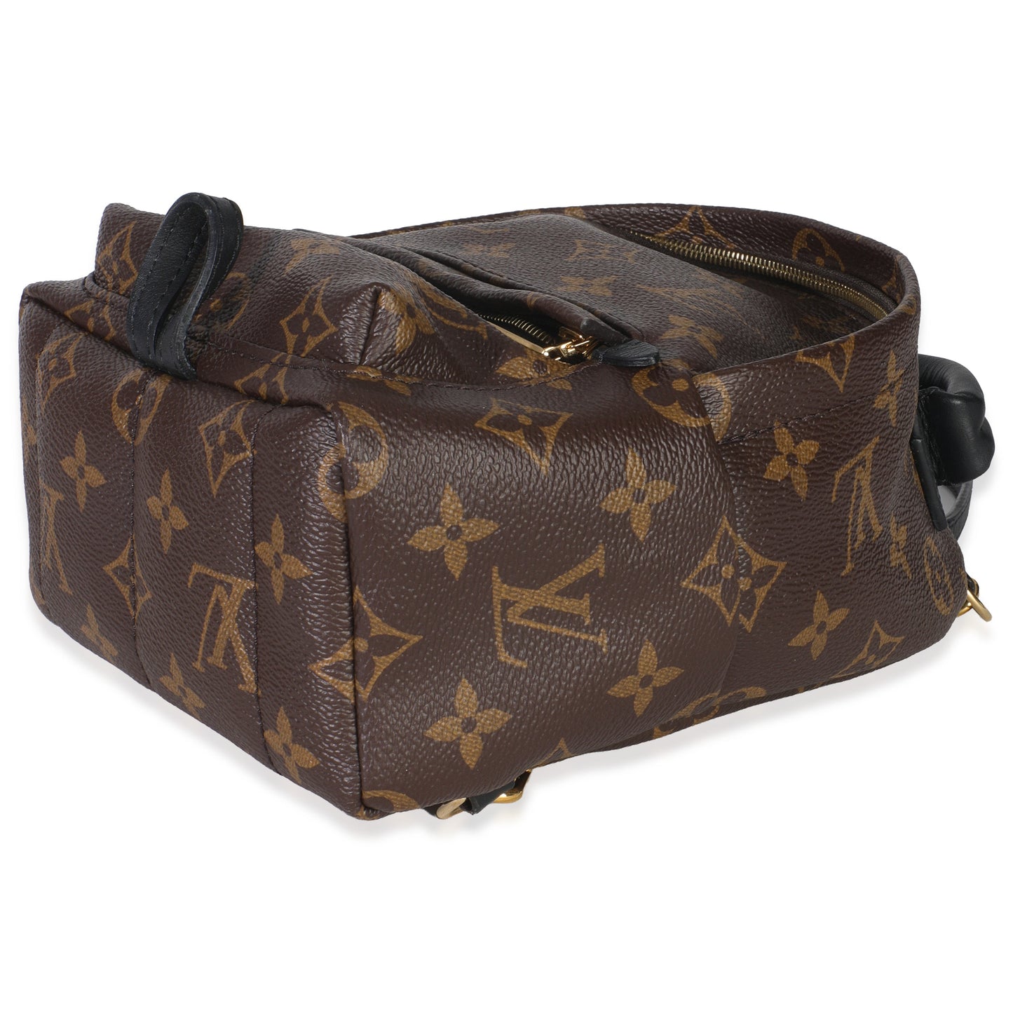 Louis Vuitton Monogram Canvas Mini Palm Springs