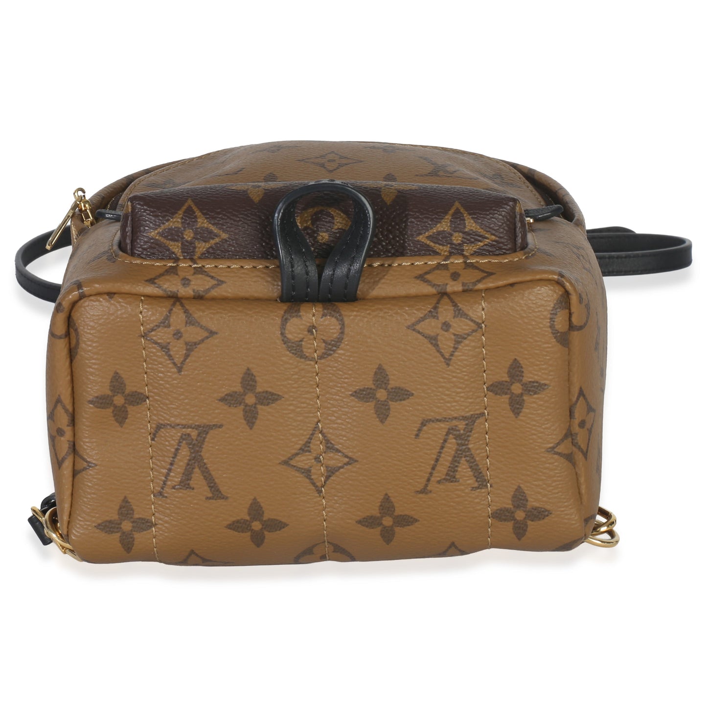 Louis Vuitton Canvas Reverse Monogram Mini Palm Springs