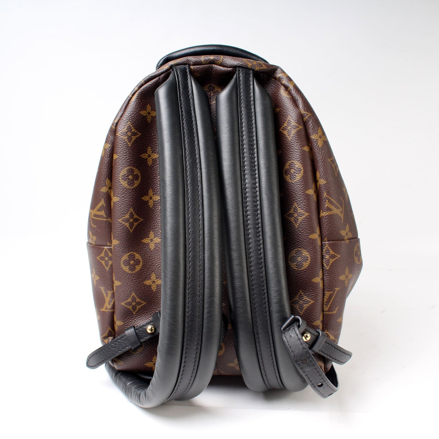 Louis Vuitton Palm Springs Backpack PM