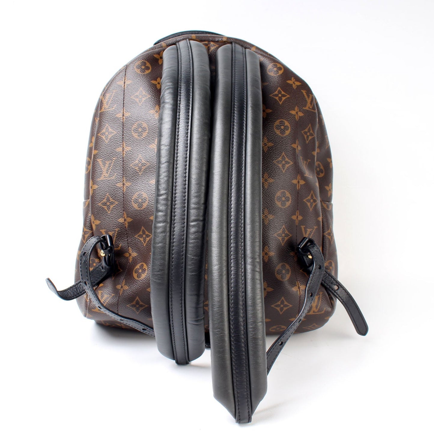 Louis Vuitton Palm Springs Backpack MM Monogram