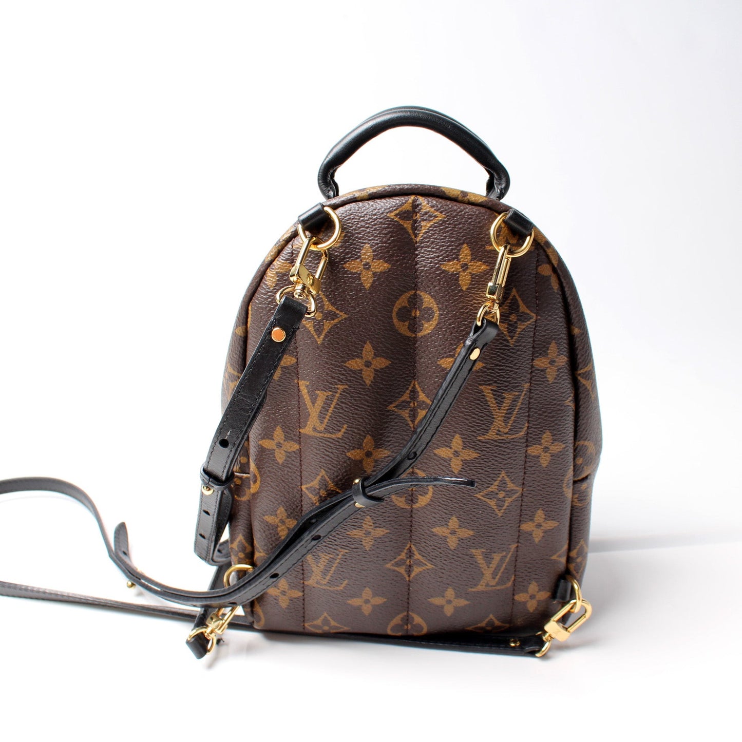 Louis Vuitton Palm Springs Mini Monogram