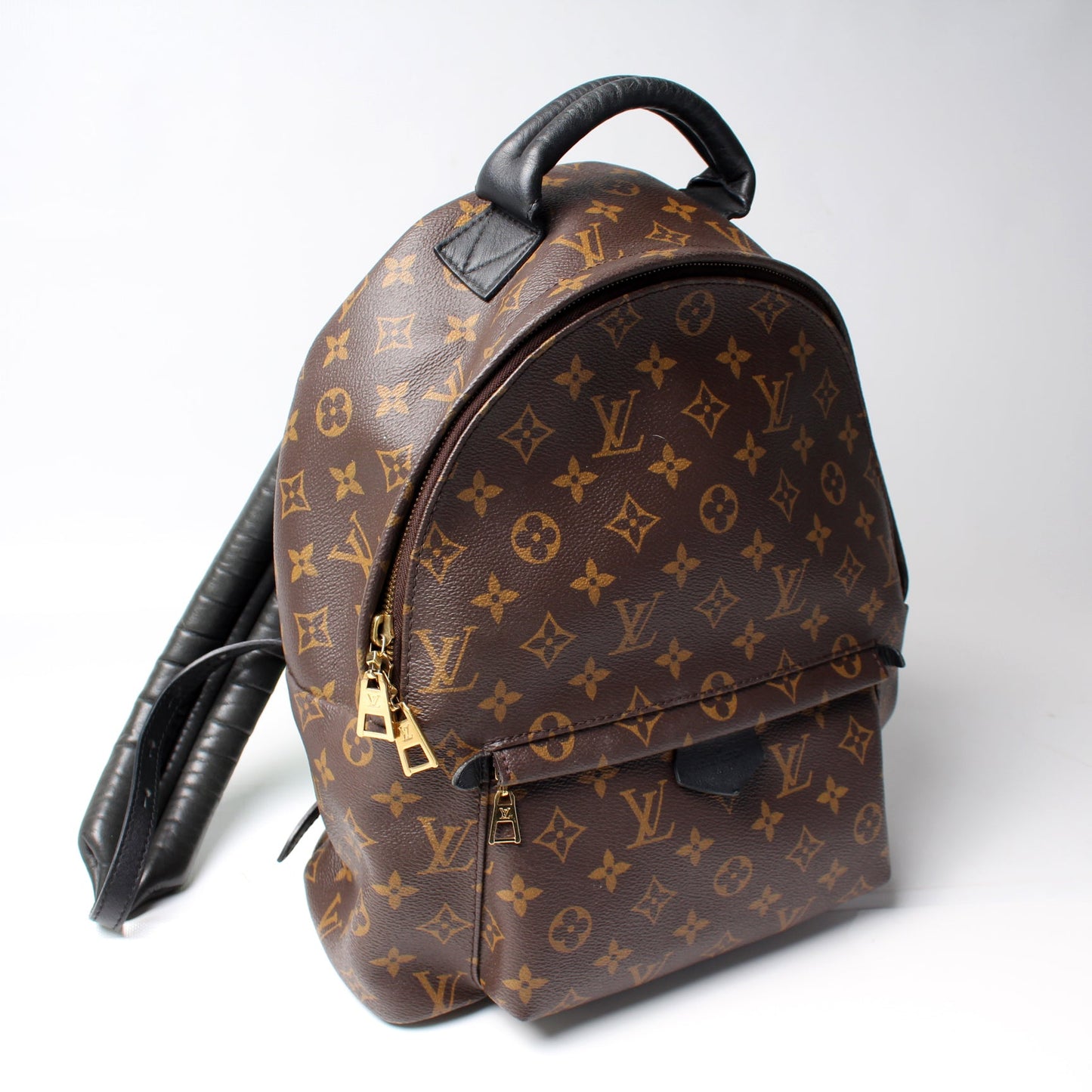 Louis Vuitton Palm Springs Backpack MM Monogram