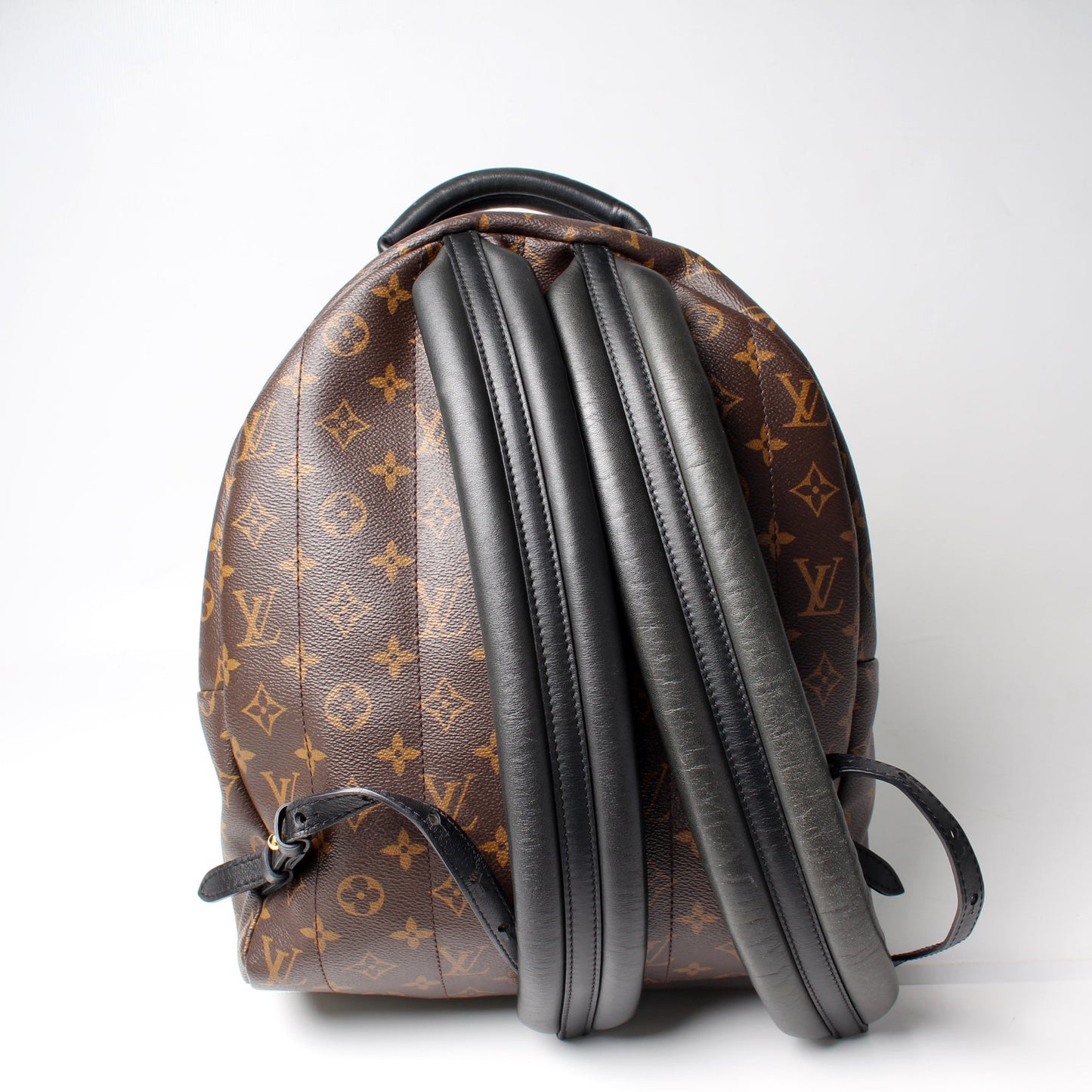Louis Vuitton Palm Springs Backpack MM Monogram