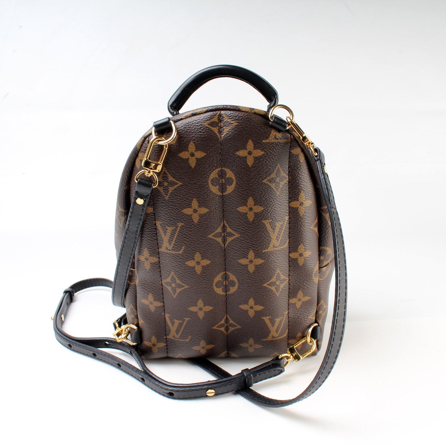 Louis Vuitton Palm Springs Mini Monogram
