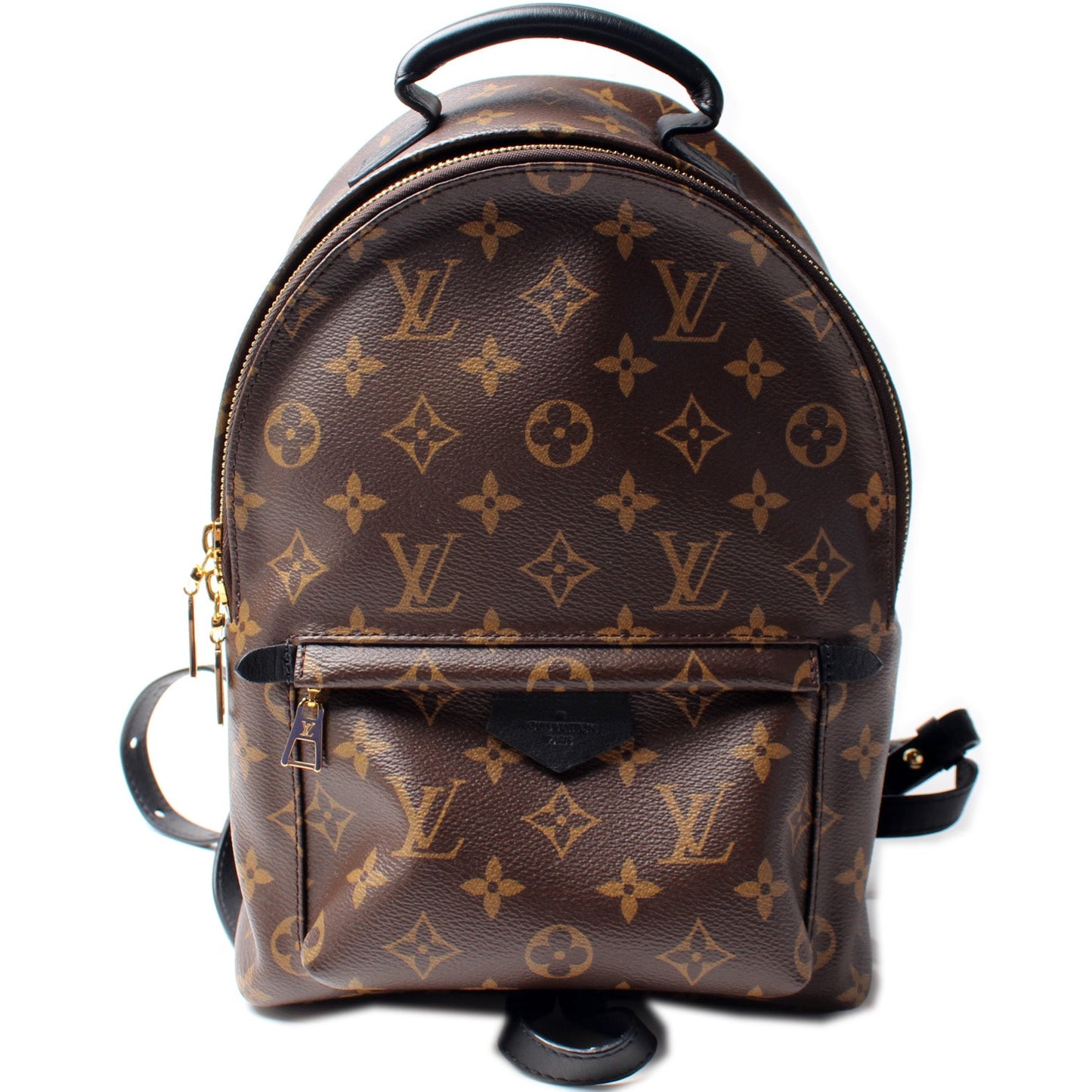 Louis Vuitton Palm Springs Backpack PM NM