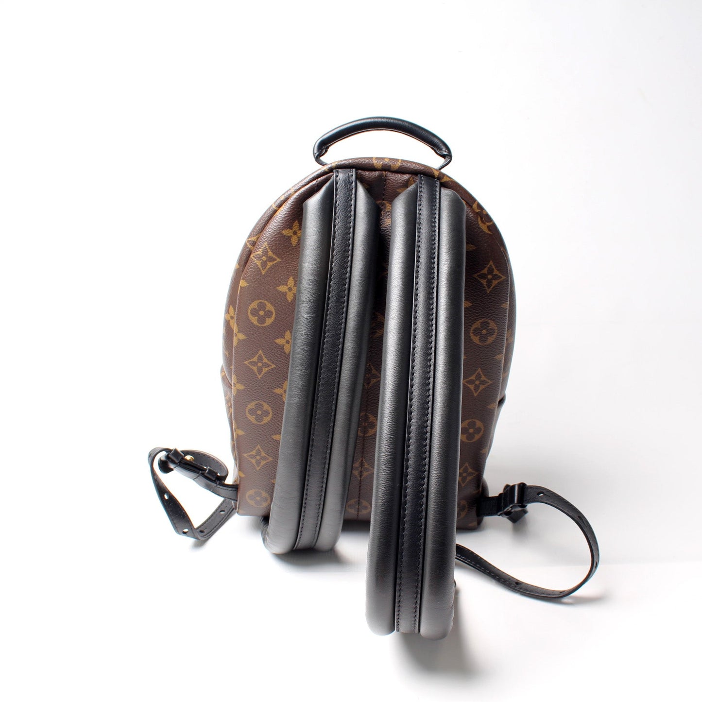Louis Vuitton Palm Springs Backpack PM NM