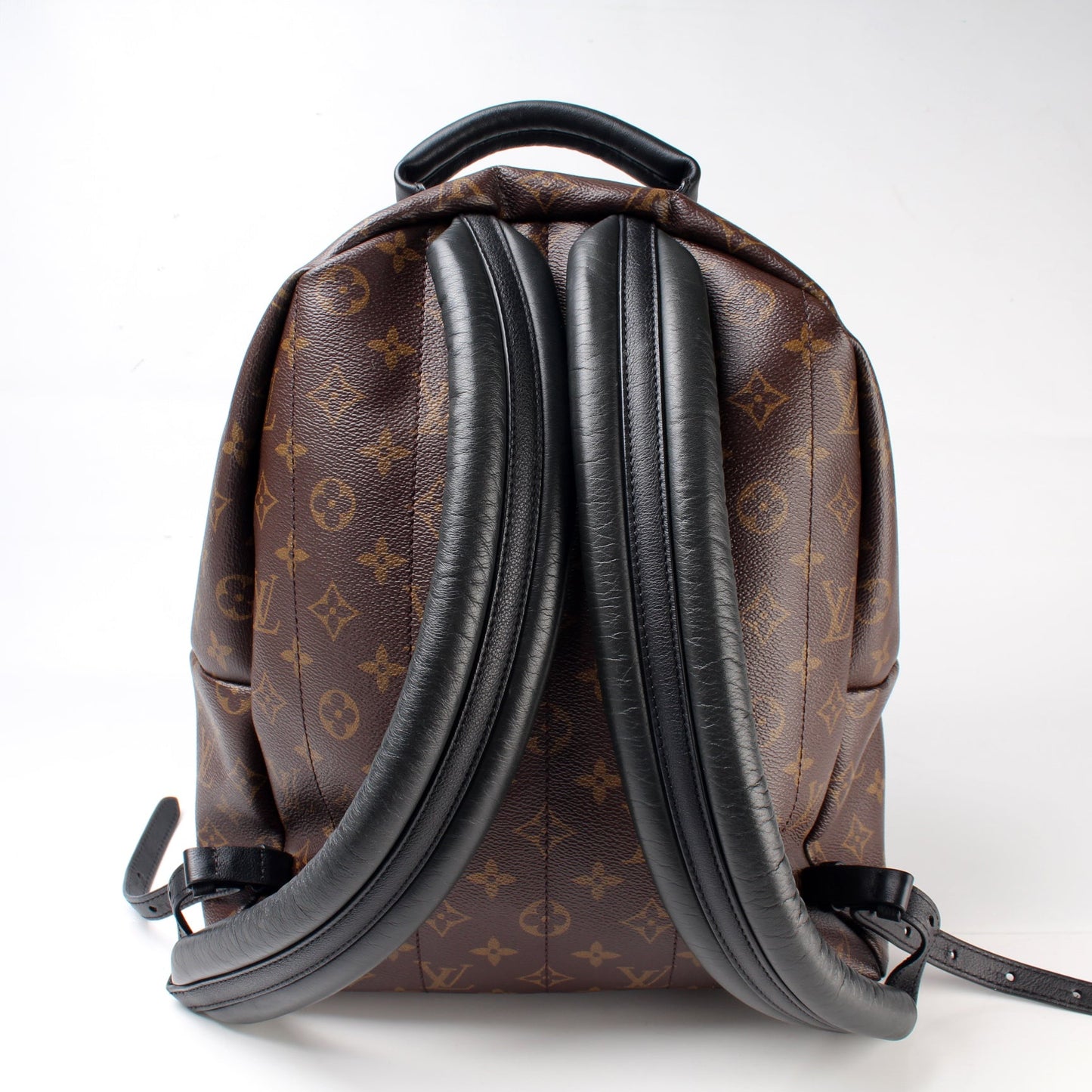 Louis Vuitton Palm Springs Backpack MM Monogram