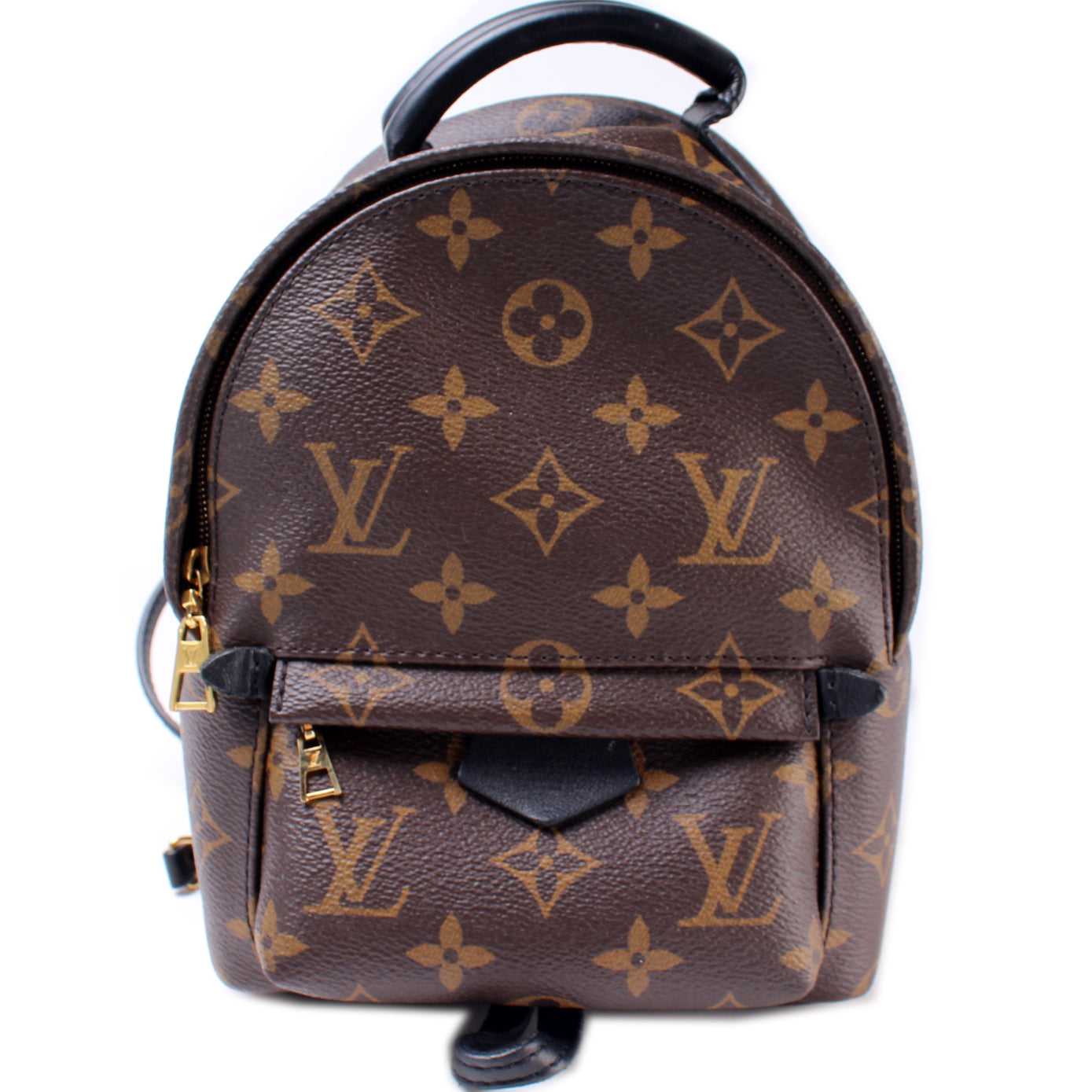 Louis Vuitton Palm Springs Mini Monogram