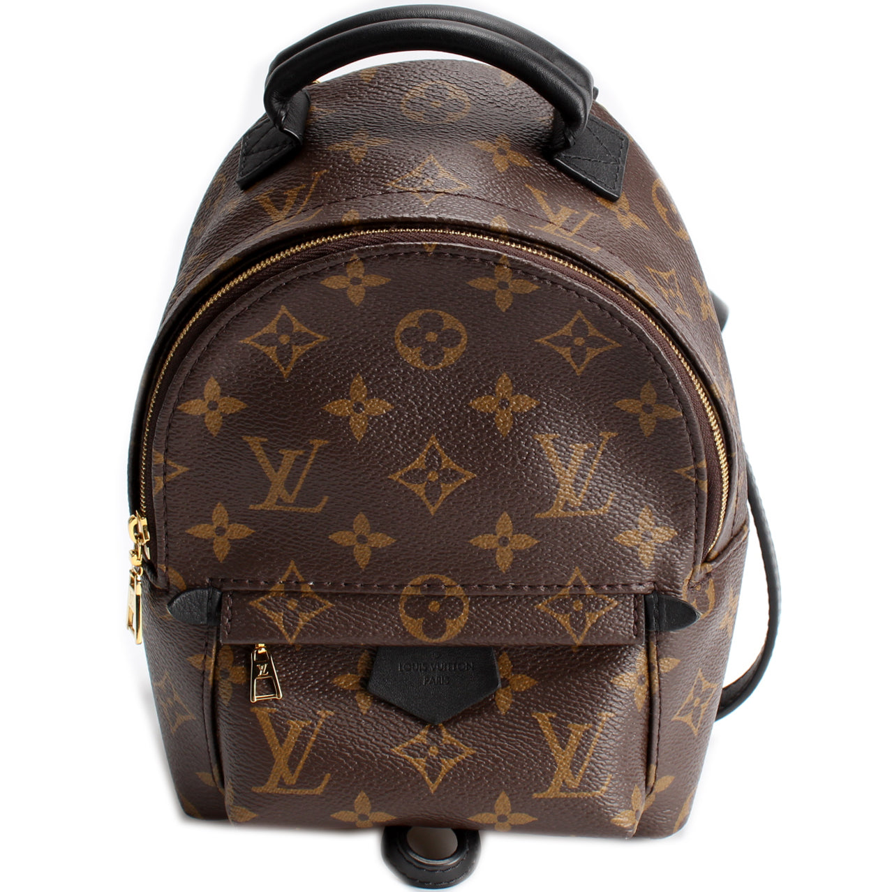 Louis Vuitton Palm Springs Mini Monogram