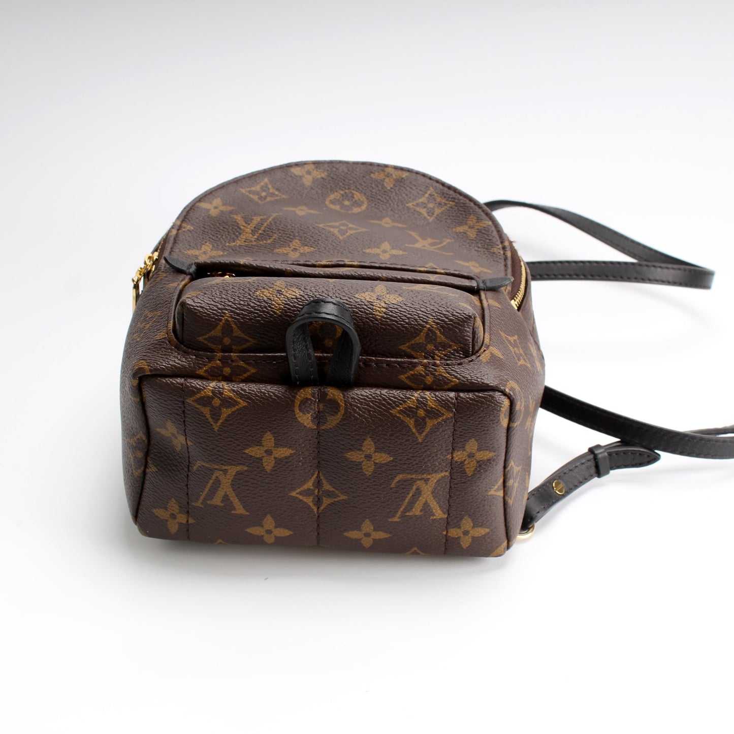 Louis Vuitton Palm Springs Mini Monogram