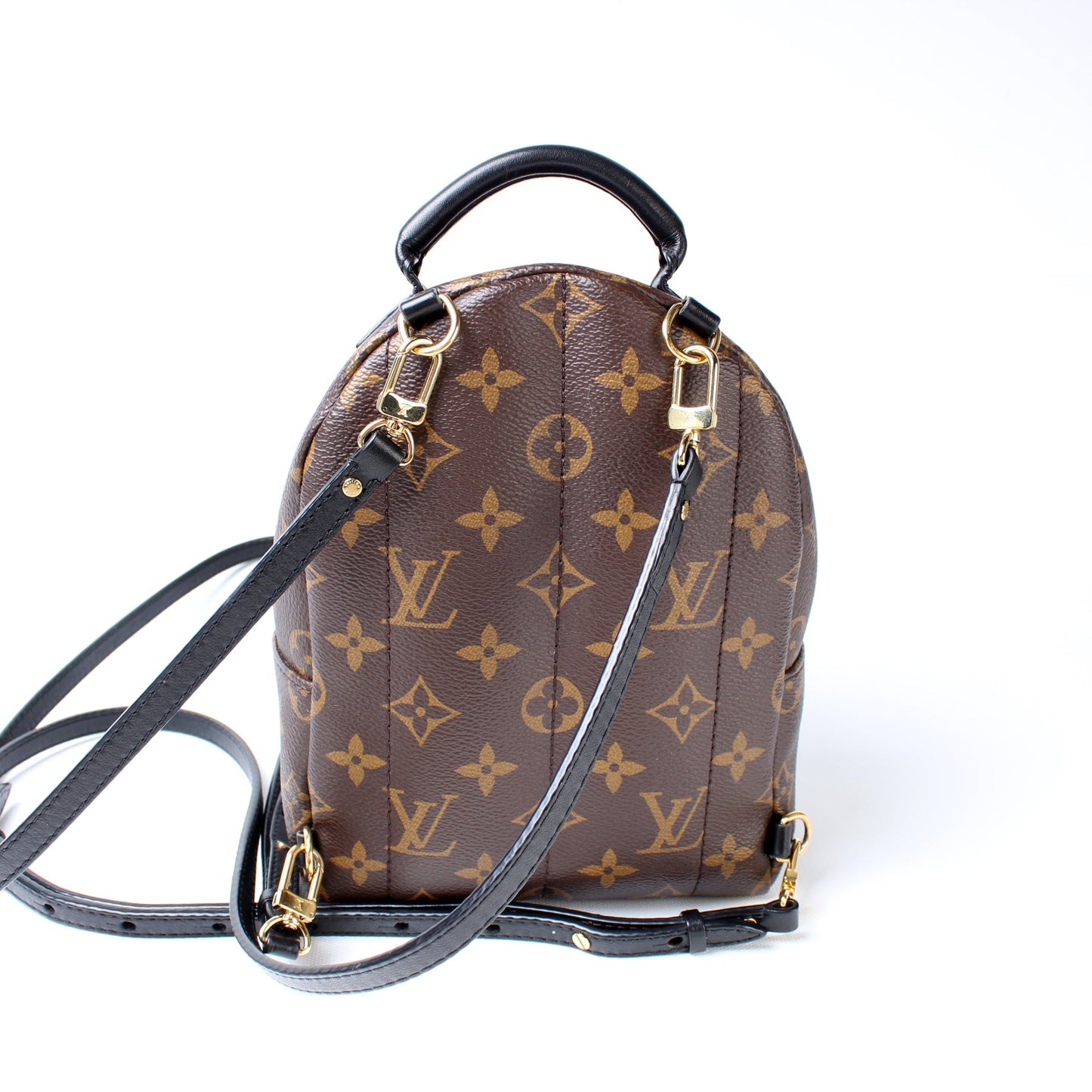 Louis Vuitton Palm Springs Mini Monogram