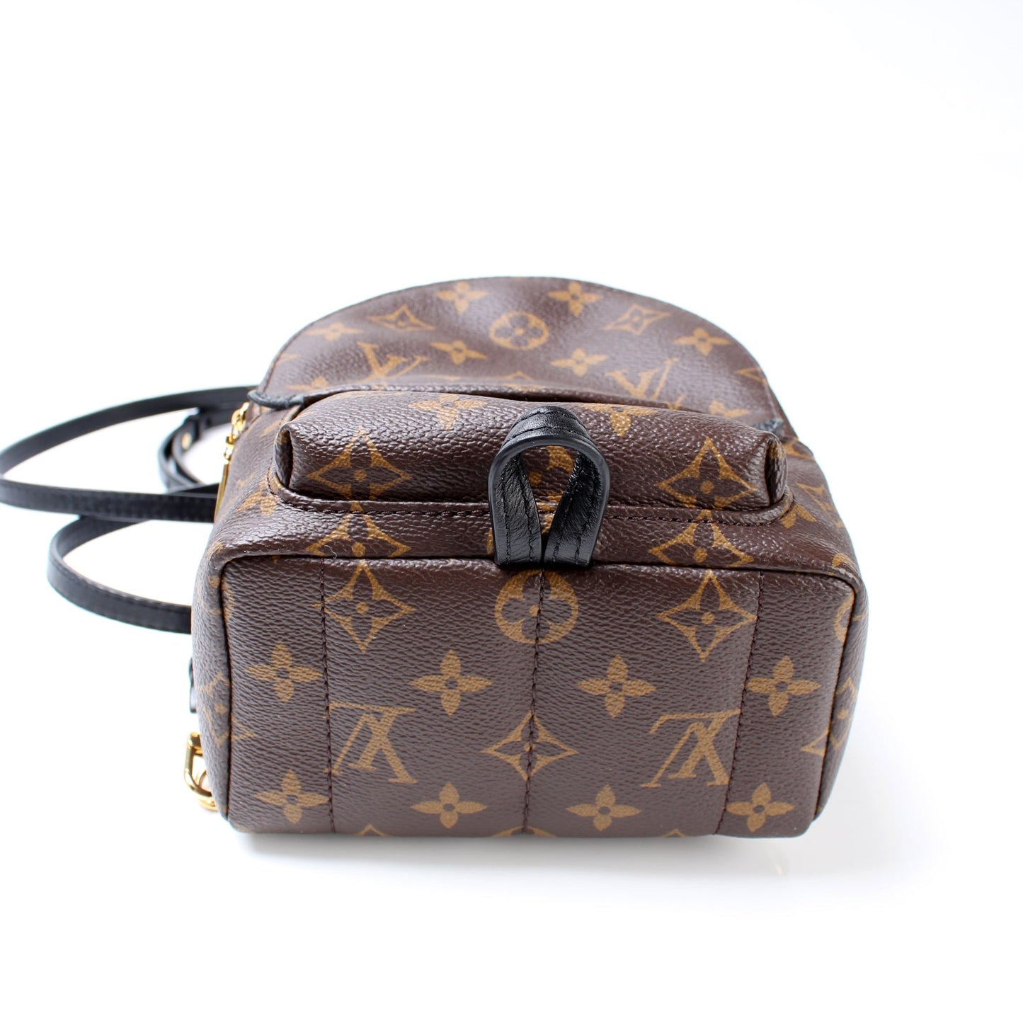 Louis Vuitton Palm Springs Mini Monogram