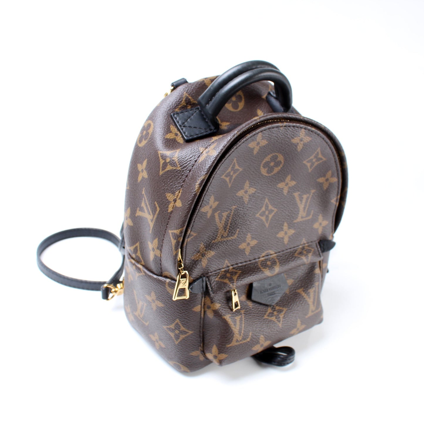 Louis Vuitton Palm Springs Mini Monogram