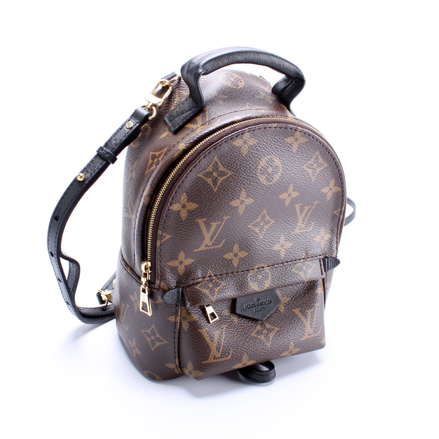 Louis Vuitton Palm Springs Mini Monogram