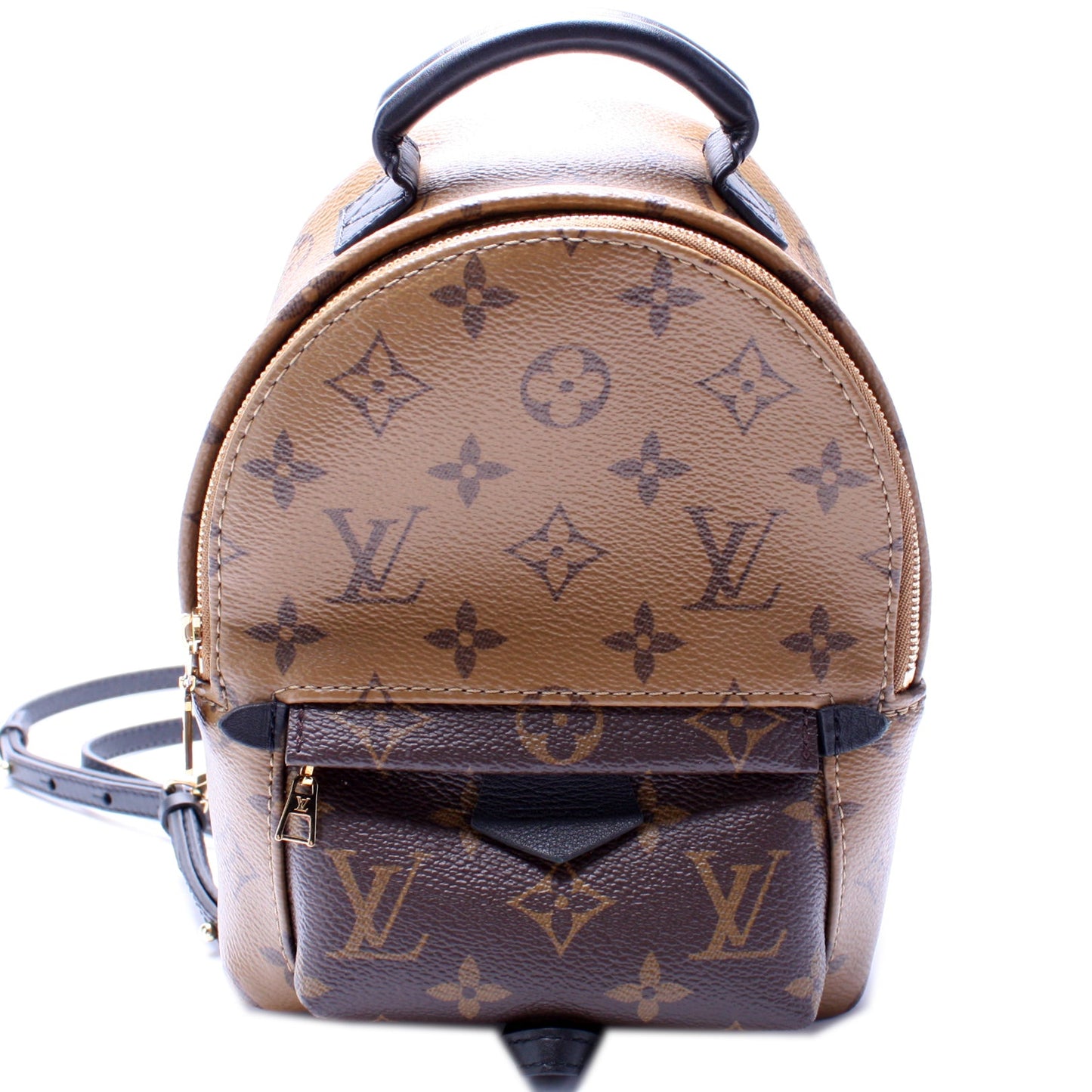 Louis Vuitton Palm Springs Mini Reverse Monogram