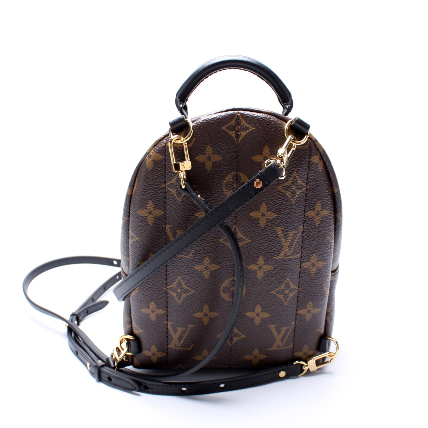 Louis Vuitton Palm Springs Mini Monogram