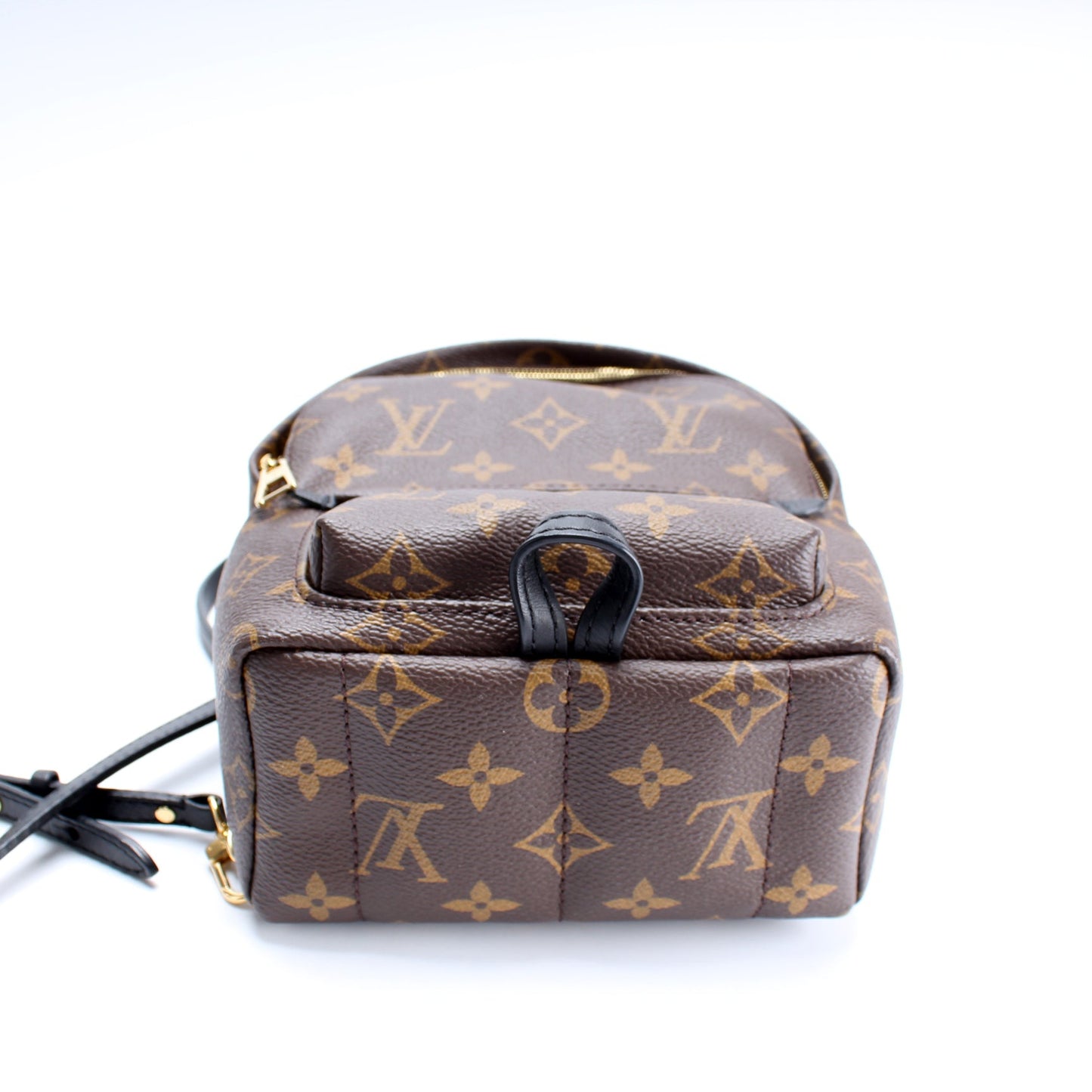 Louis Vuitton Palm Springs Mini Monogram