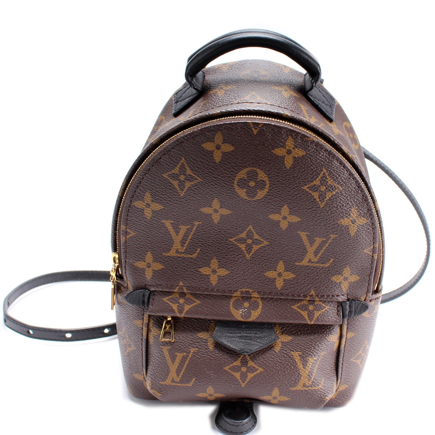 Louis Vuitton Palm Springs Mini Monogram