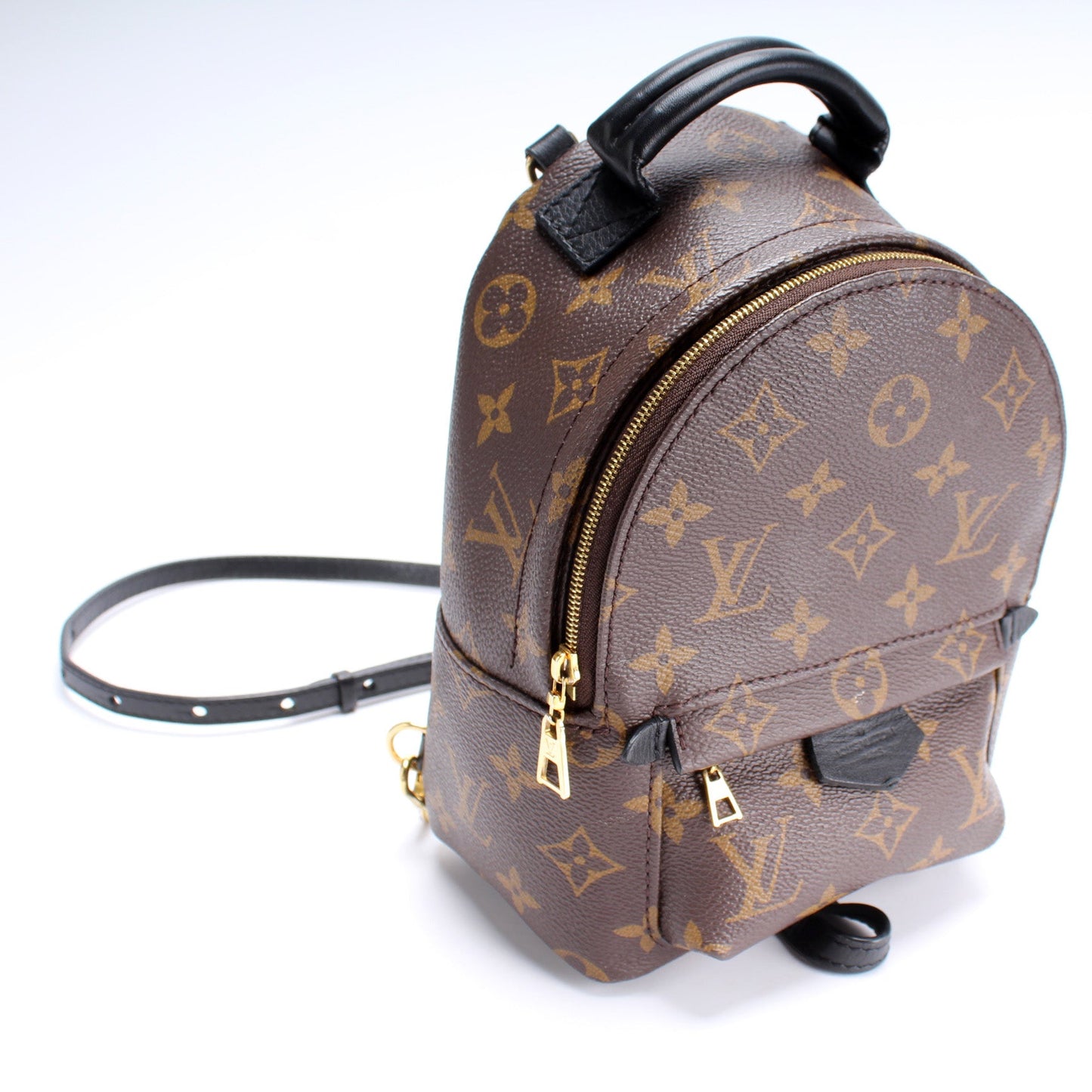Louis Vuitton Palm Springs Mini Monogram