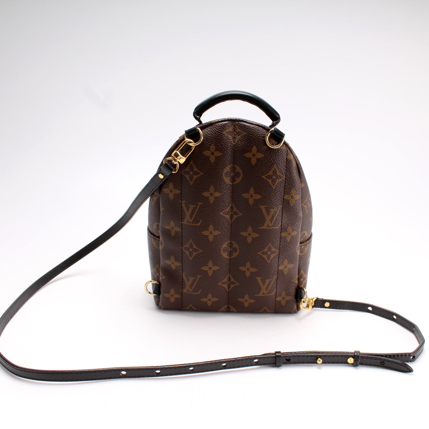 Louis Vuitton Palm Springs Mini Monogram