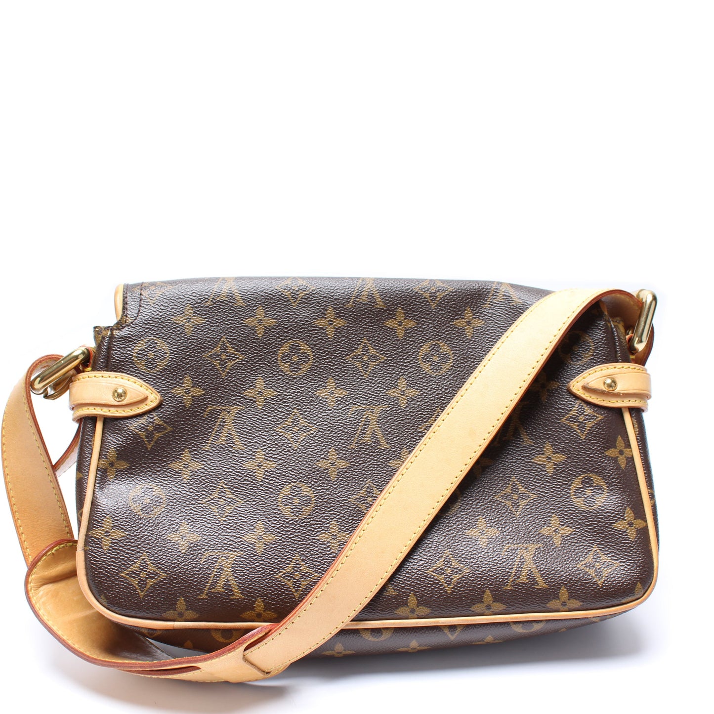 Louis Vuitton Hudson PM Monogram