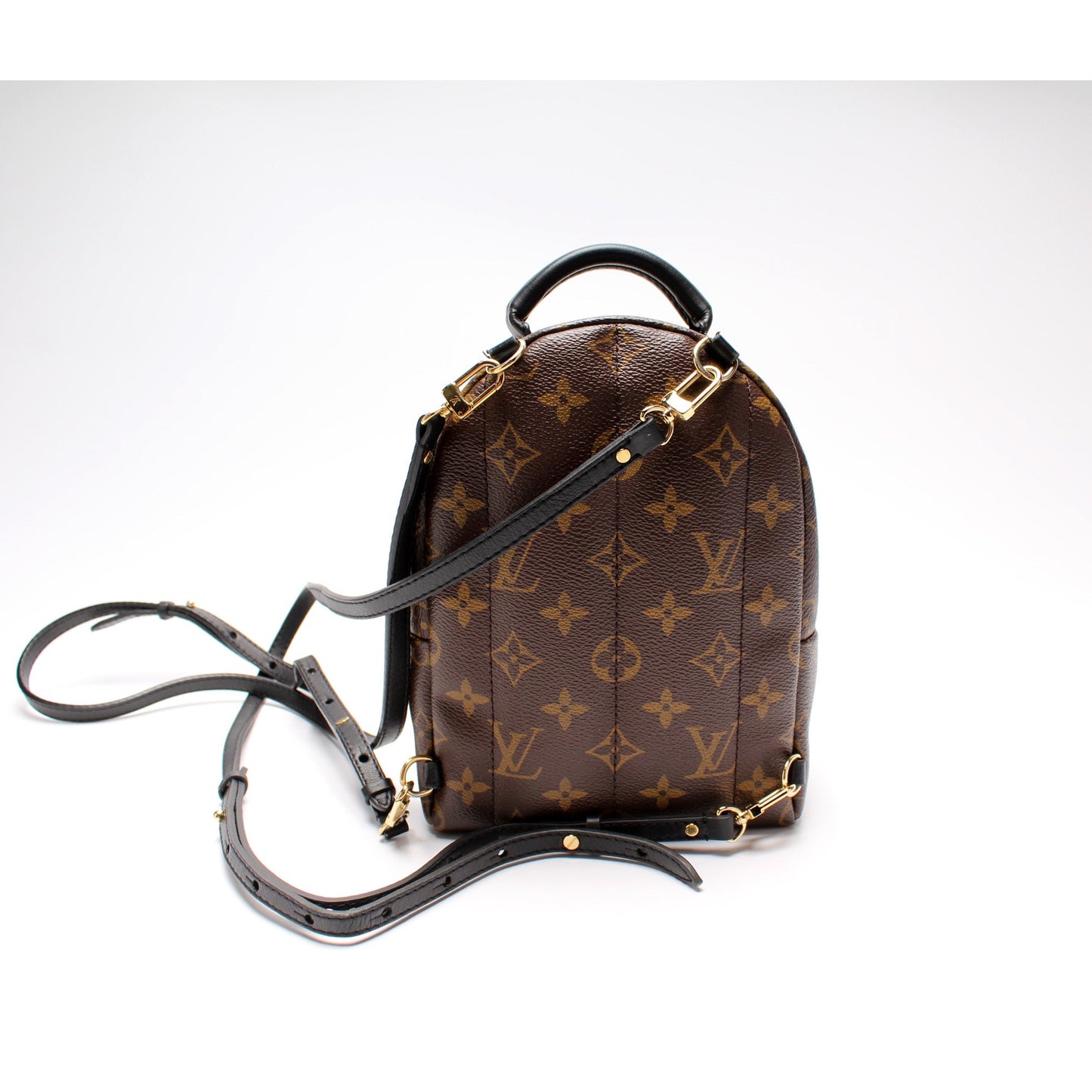 Louis Vuitton Palm Springs Mini Monogram