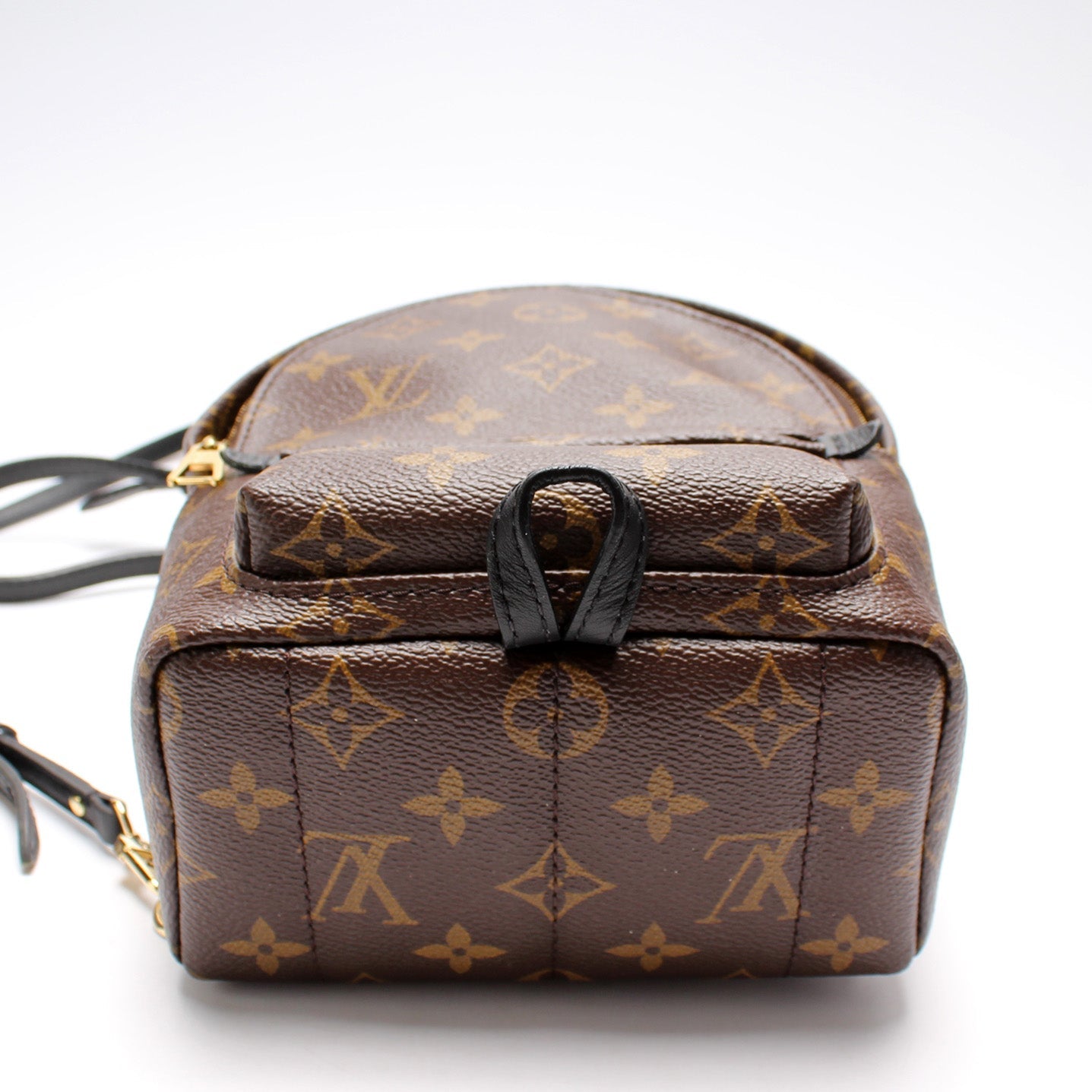 Louis Vuitton Palm Springs Mini Monogram