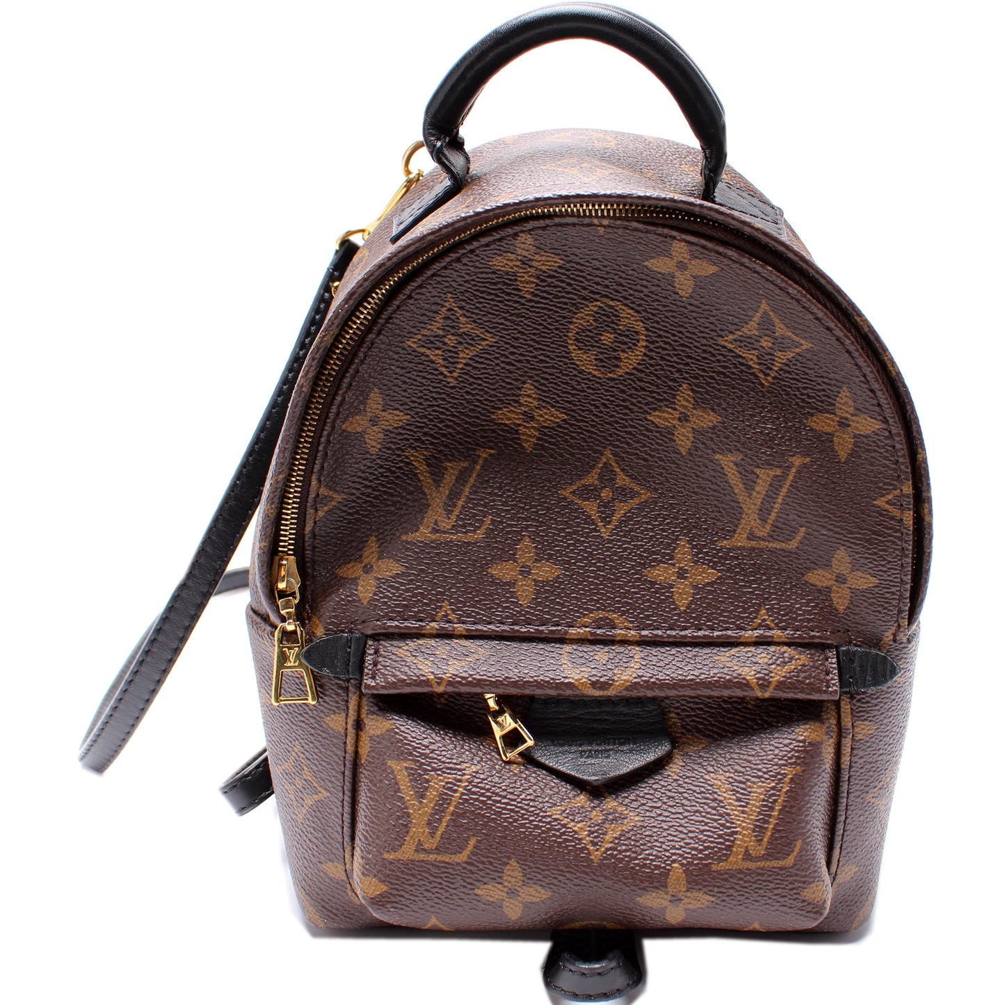 Louis Vuitton Palm Springs Mini Monogram