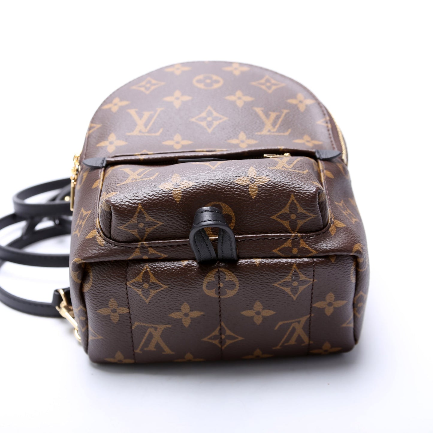 Louis Vuitton Palm Springs Mini Monogram 2021+