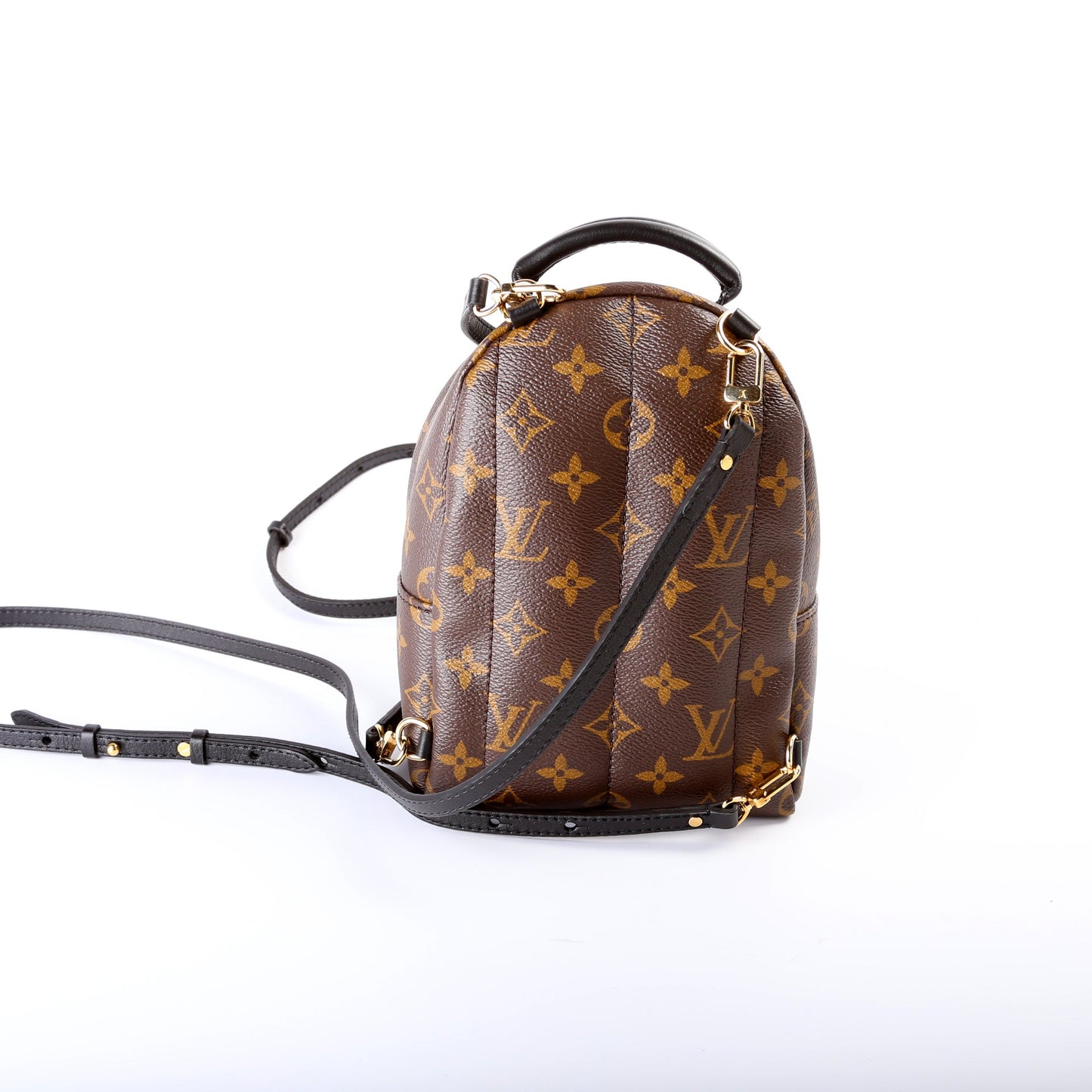 Louis Vuitton Palm Springs Mini Monogram