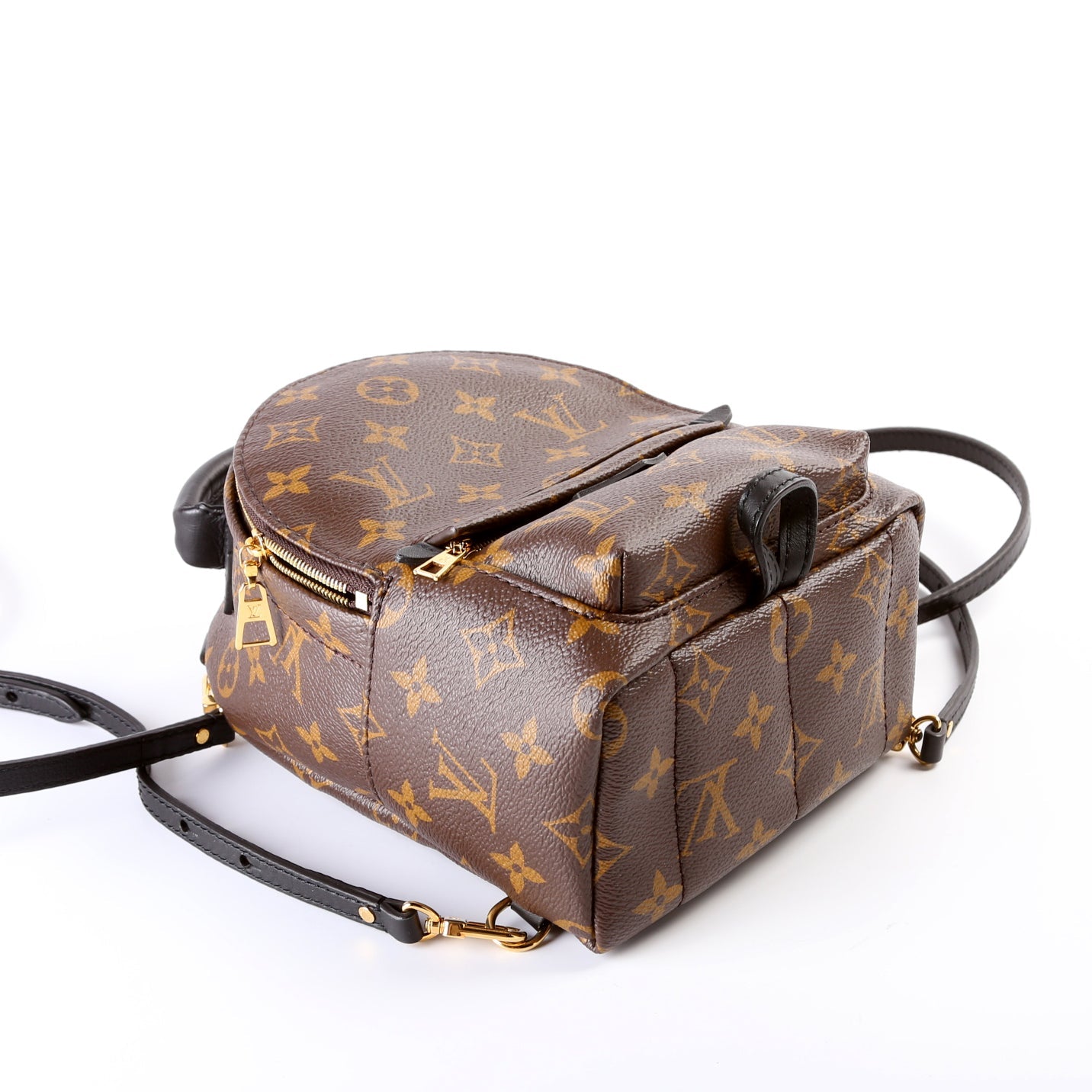 Louis Vuitton Palm Springs Mini Monogram