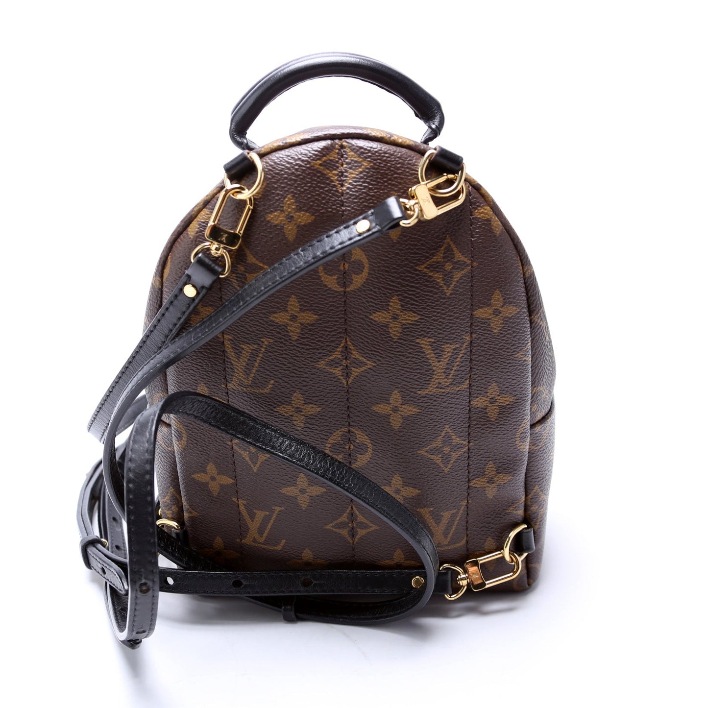 Louis Vuitton Palm Springs Mini Monogram