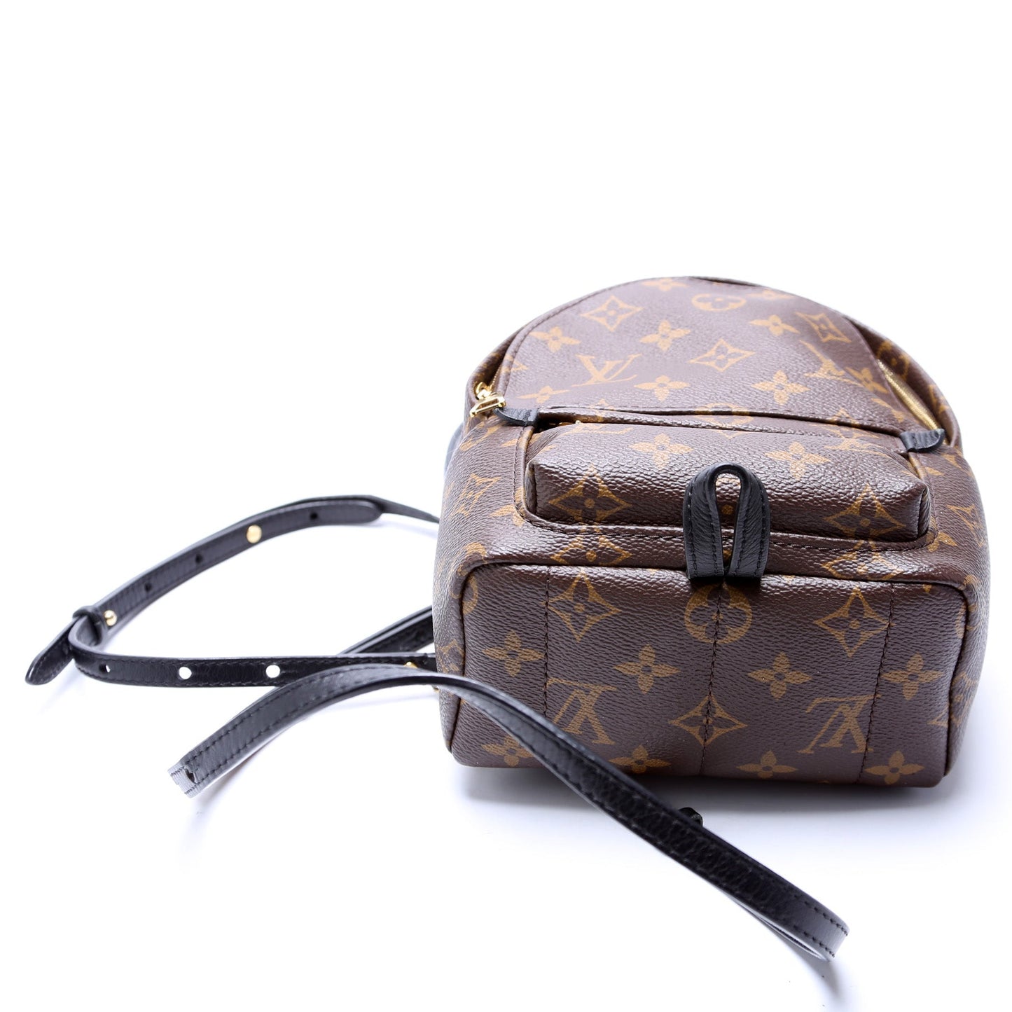 Louis Vuitton Palm Springs Mini Monogram