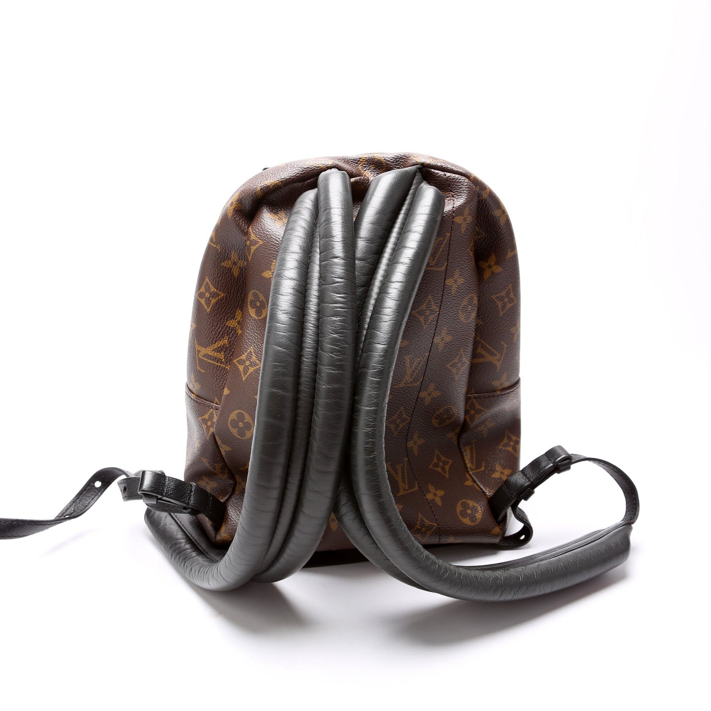 Louis Vuitton Palm Springs Backpack MM Monogram