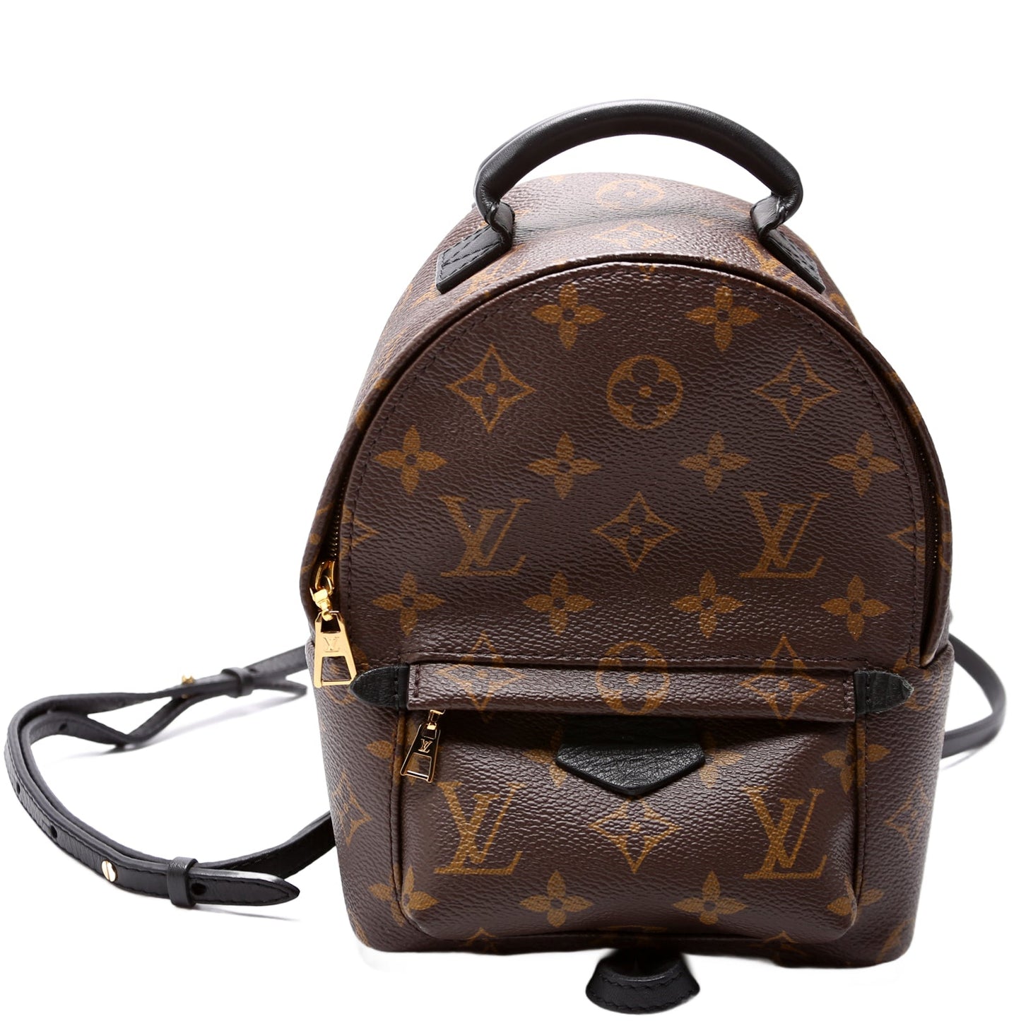 Louis Vuitton Palm Springs Mini Monogram