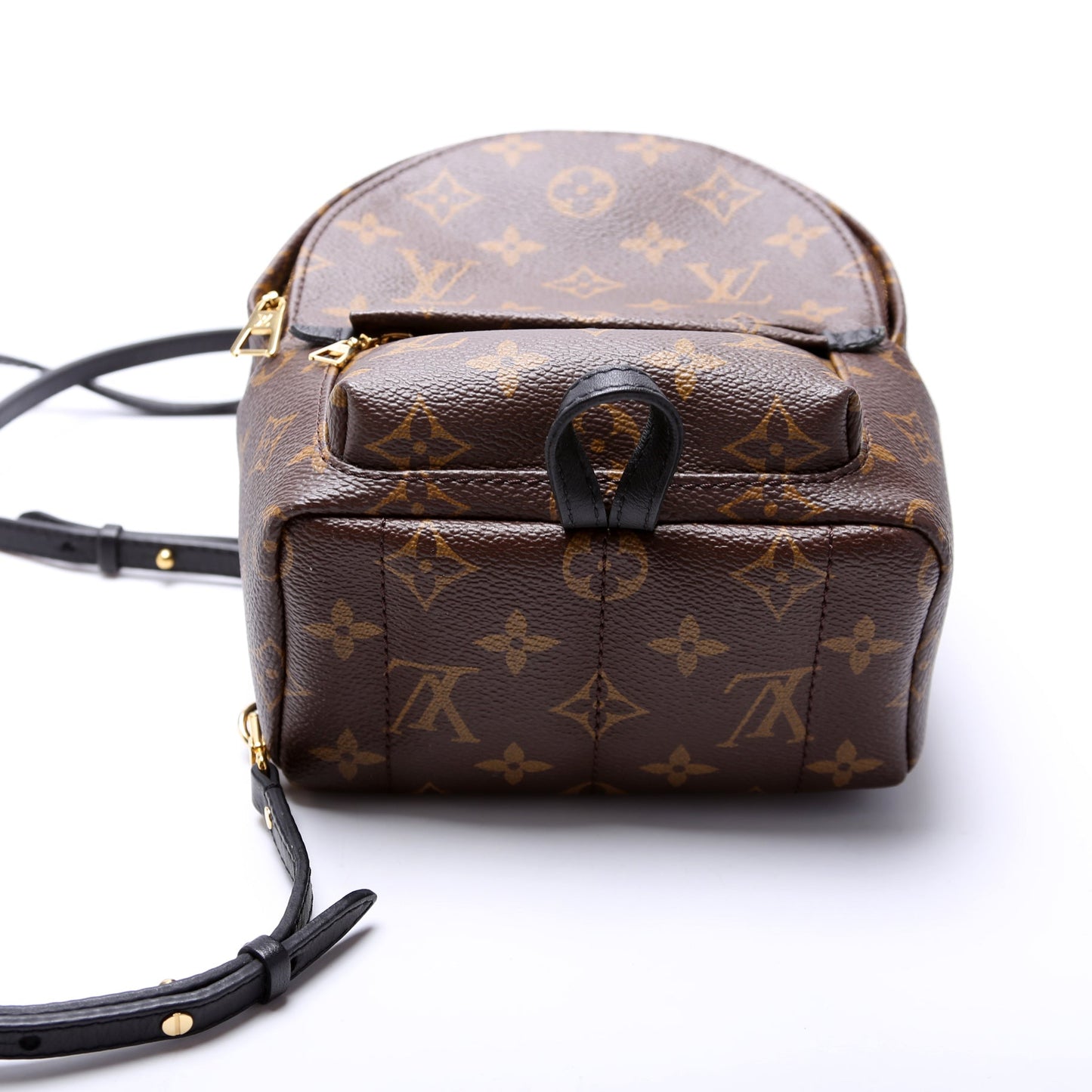 Louis Vuitton Palm Springs Mini Monogram