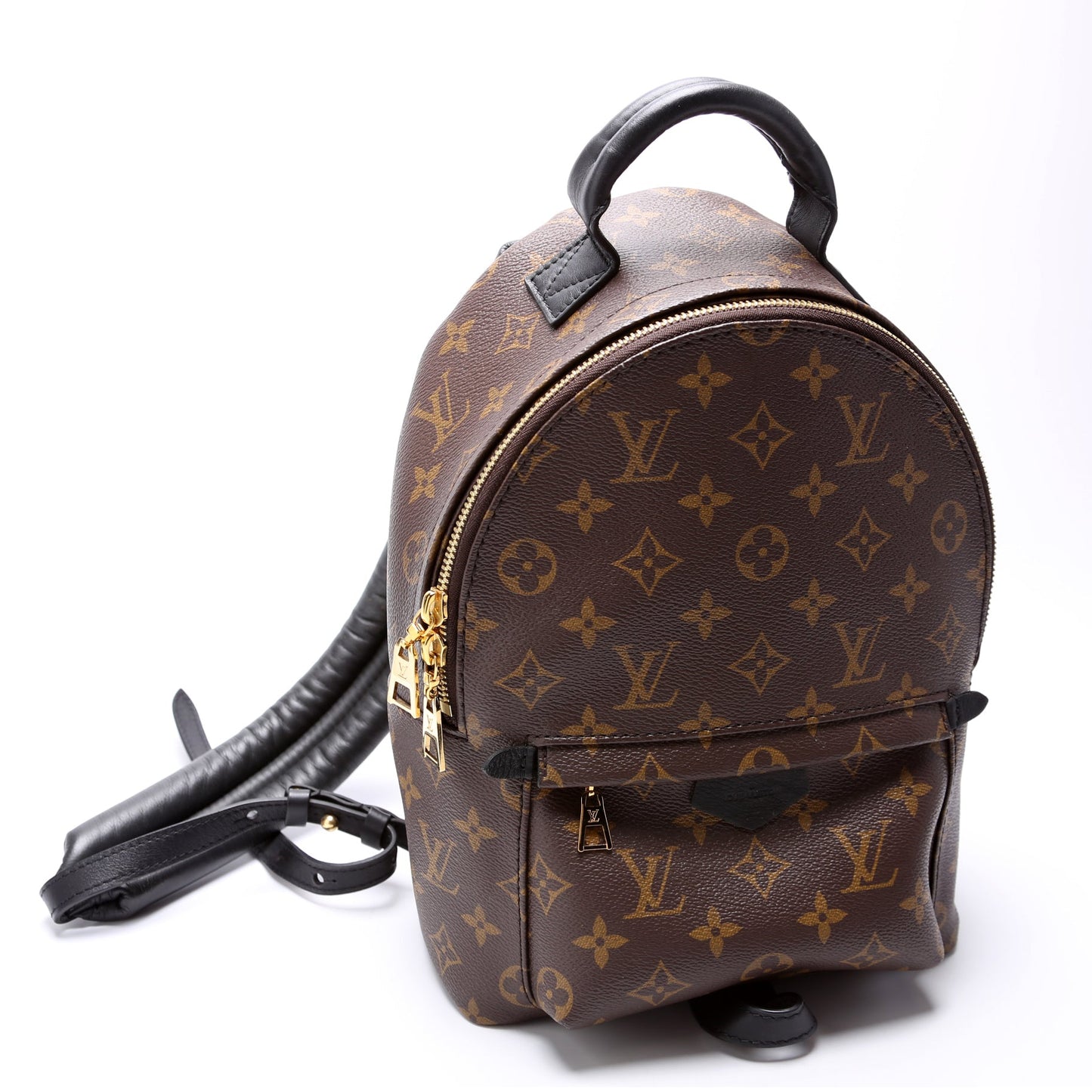 Louis Vuitton Palm Springs Backpack PM NM
