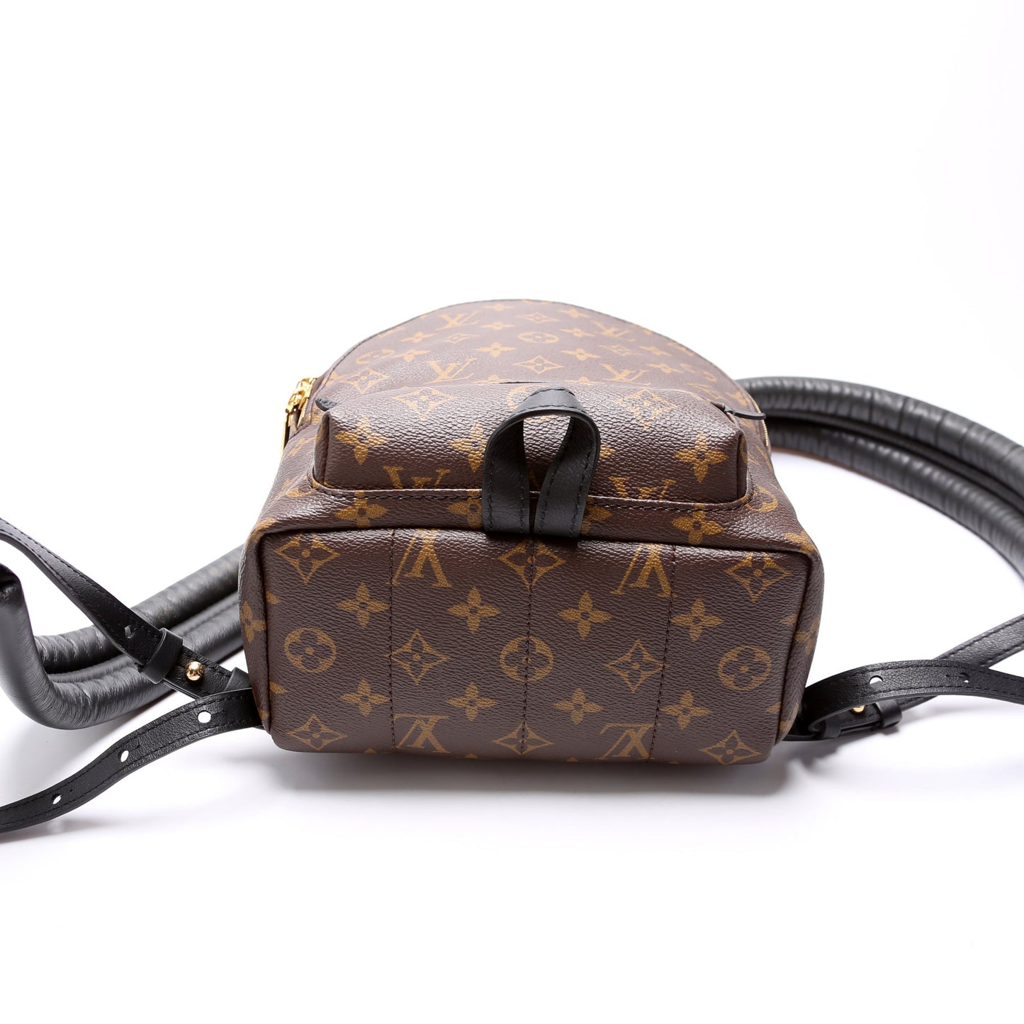 Louis Vuitton Palm Springs Backpack PM NM